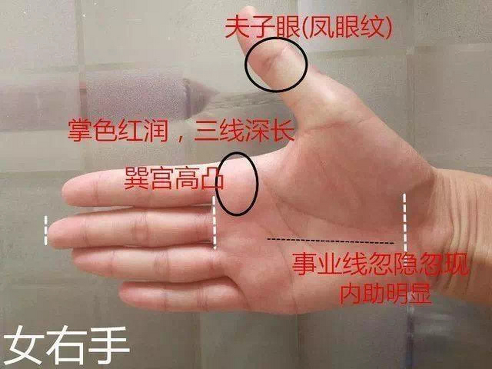 右手有夫子眼图片