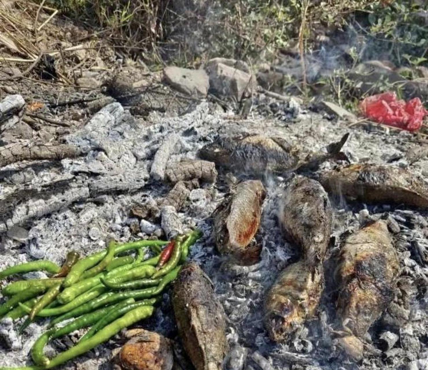 朋友叫我去野外吃烤魚.方法是什麼?我可以吃嗎?[疑問]