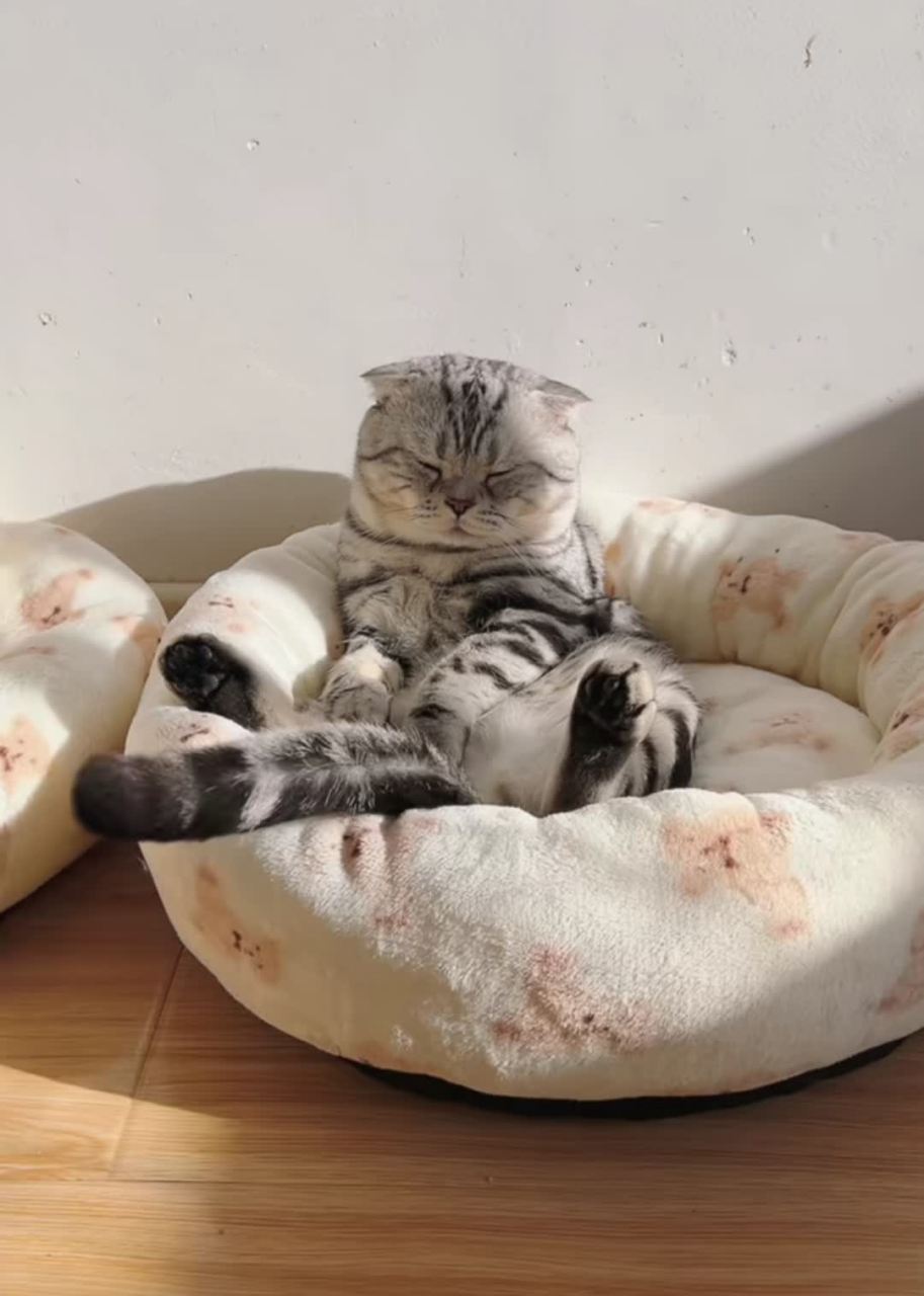 猫叔叔的休闲生活![没眼看]