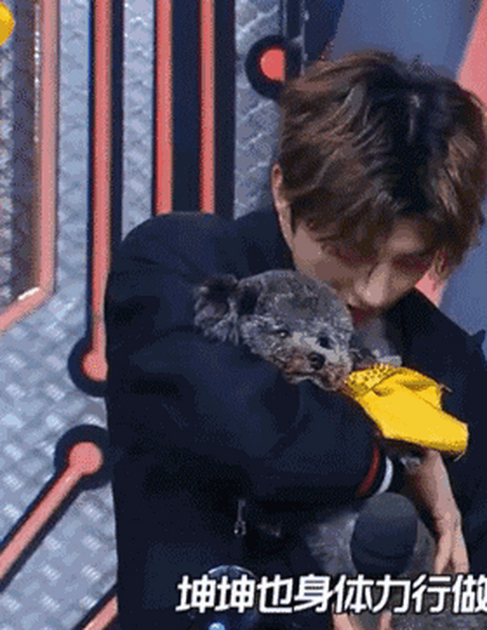 蔡徐坤(kun),1998年8月2日出生,中国内地男歌手,演员.