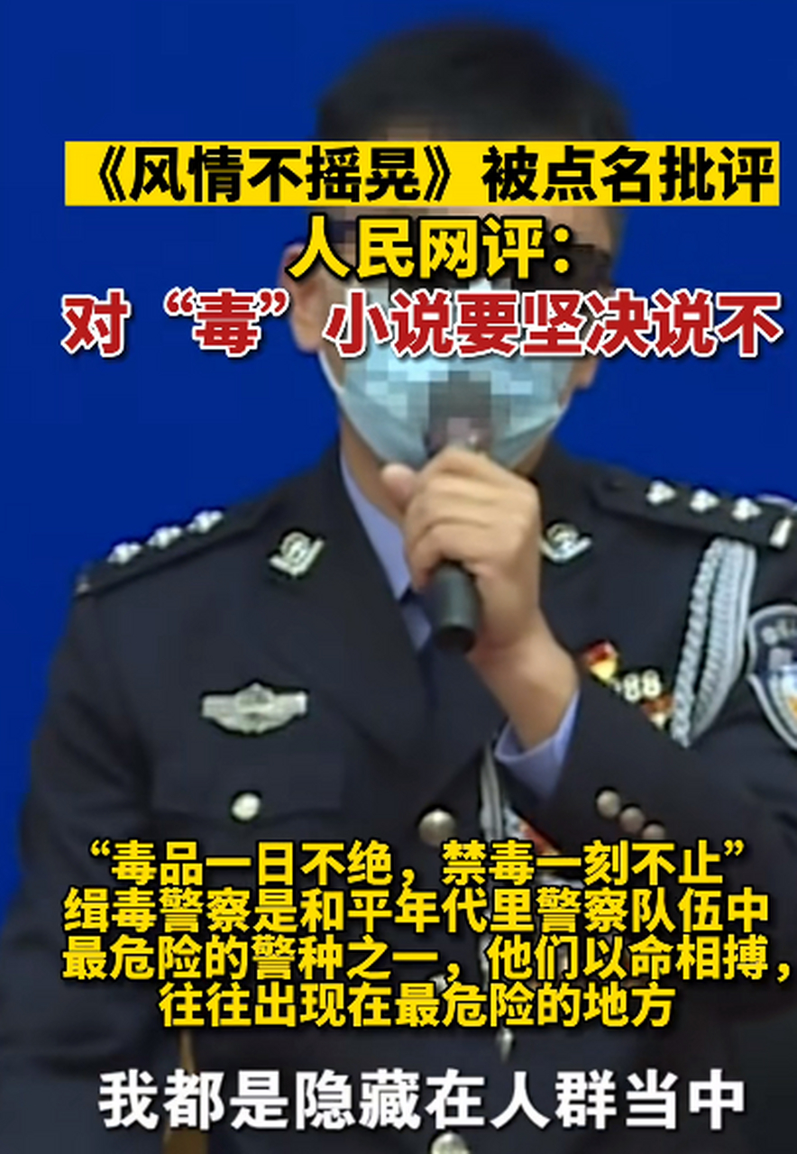人民网评网络小说《风情不摇晃》被点名批评:对"毒"小说要坚决说不!