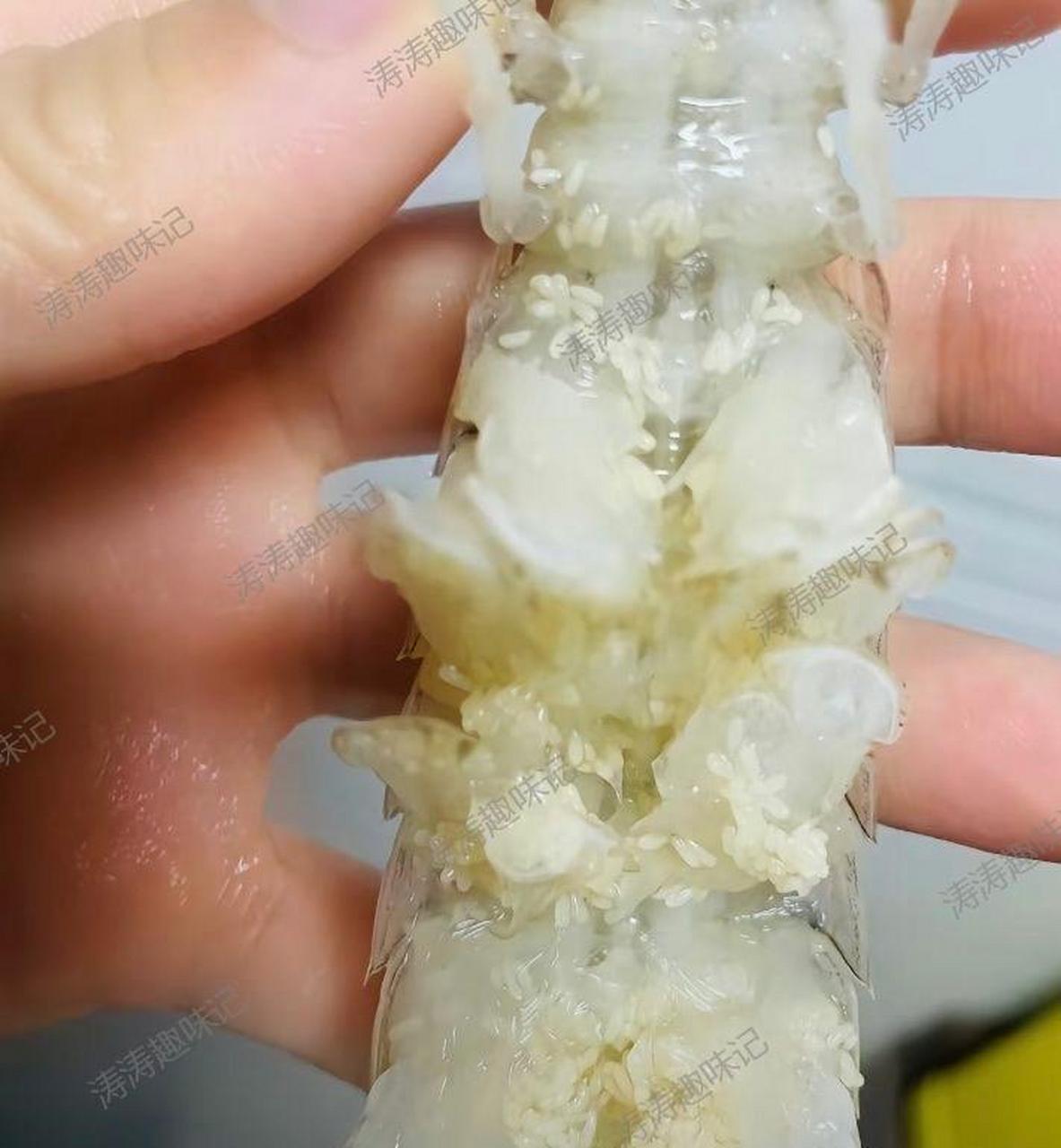 求助啊!这个是虾卵还是虫卵呀?