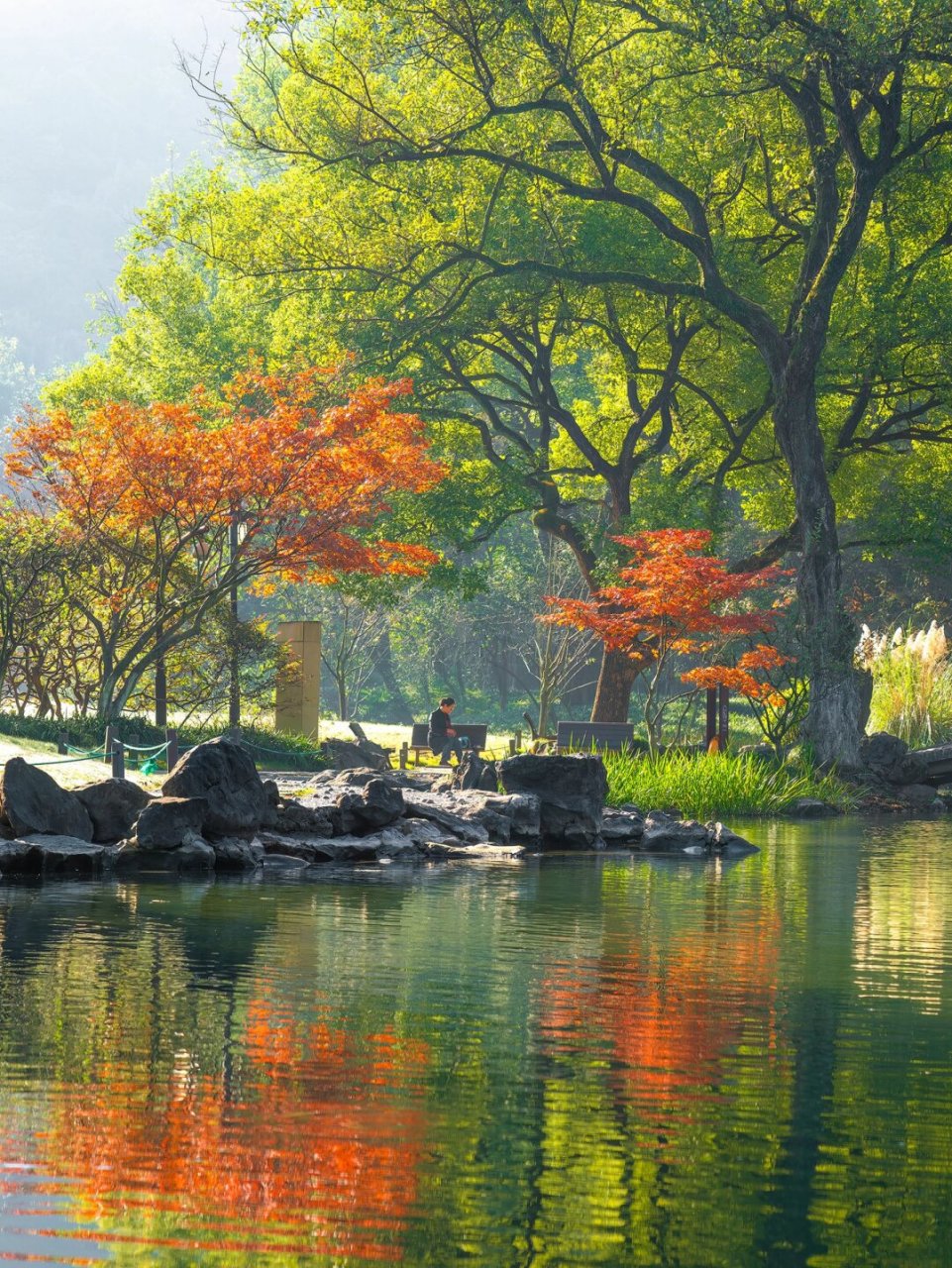 太子湾公园景点的介绍图片