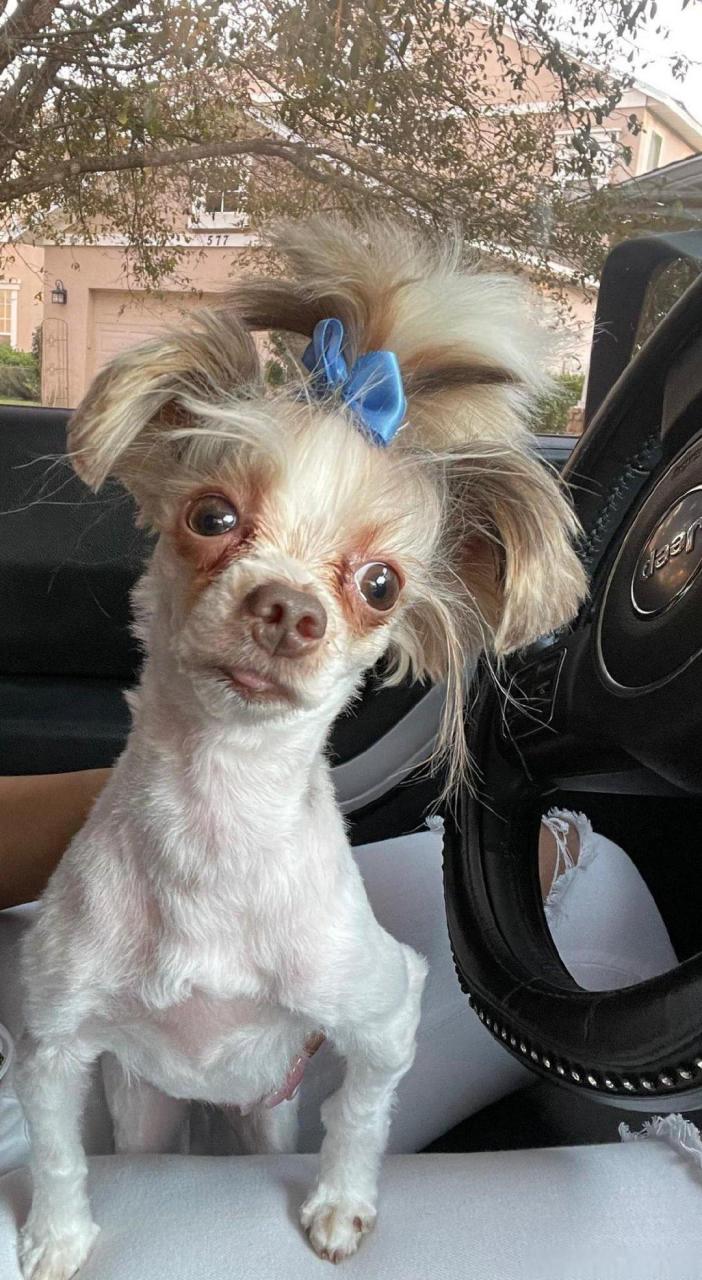 这个托尼不行啊![捂脸]  #搞笑