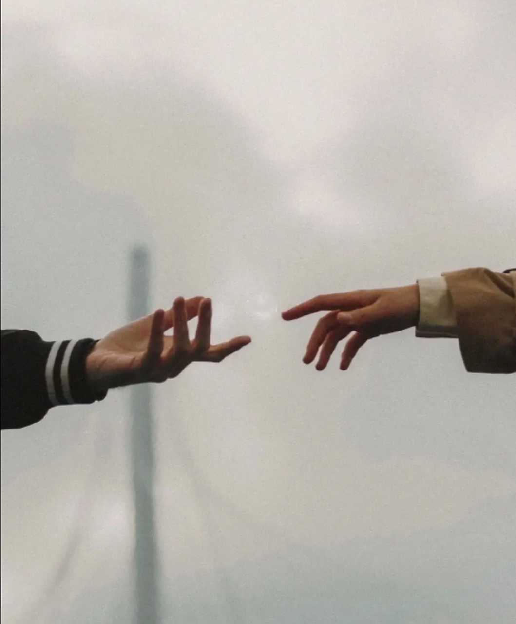 释迦牟尼的一句话: 伸手需要一瞬间,牵手却要很多年, 无论你遇见谁,他