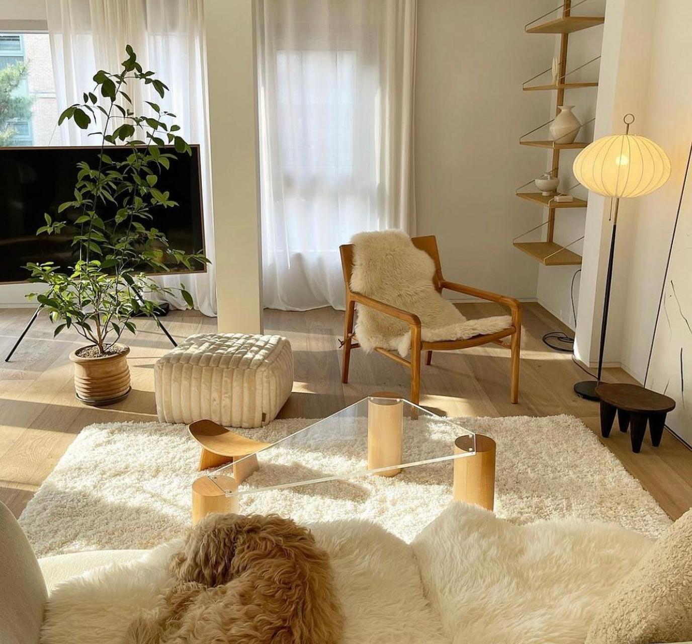 [挤眼]这位90后韩国女主,晒独居家居生活照走红网络.