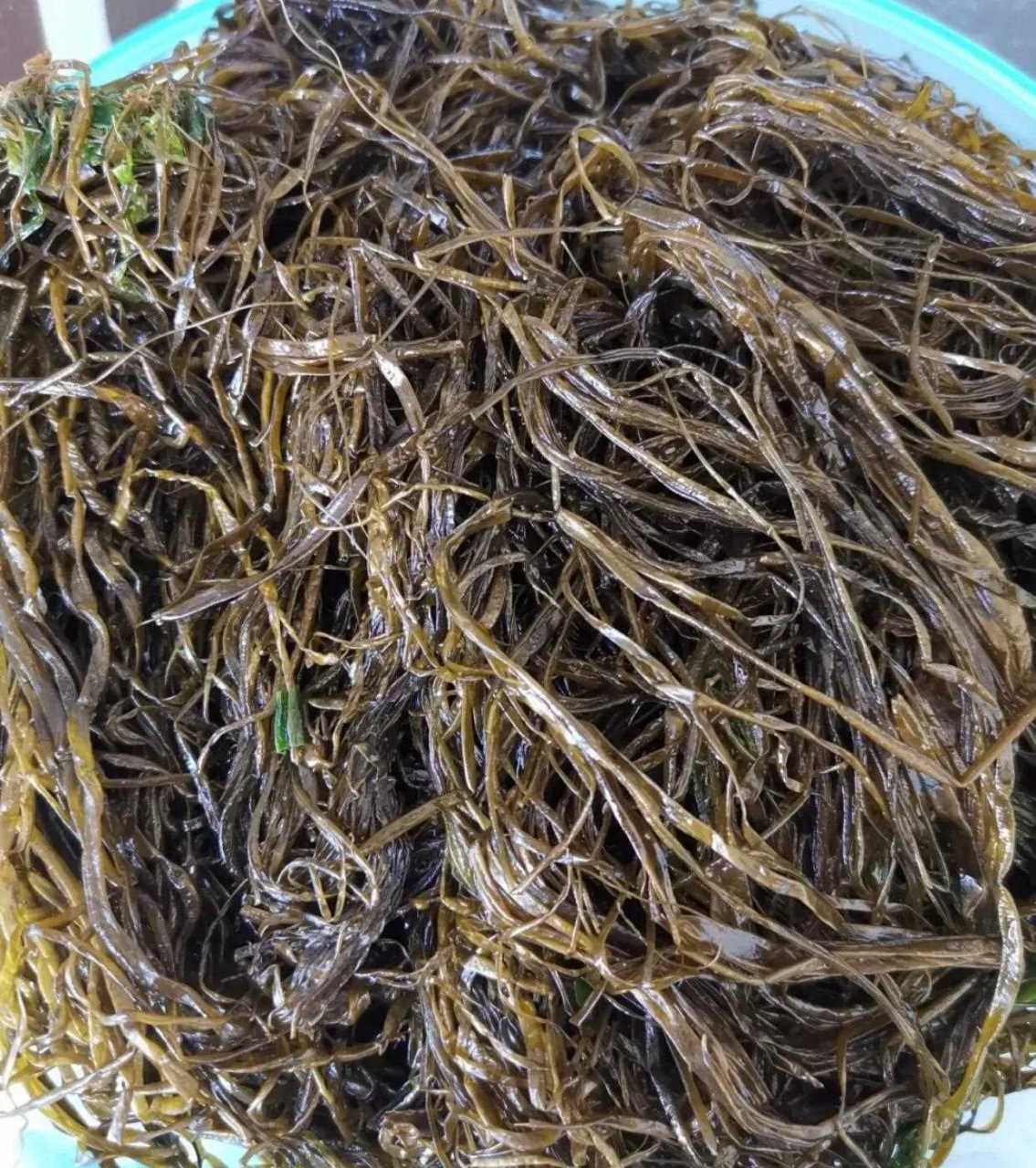 大连人都爱吃的海麻线包子!