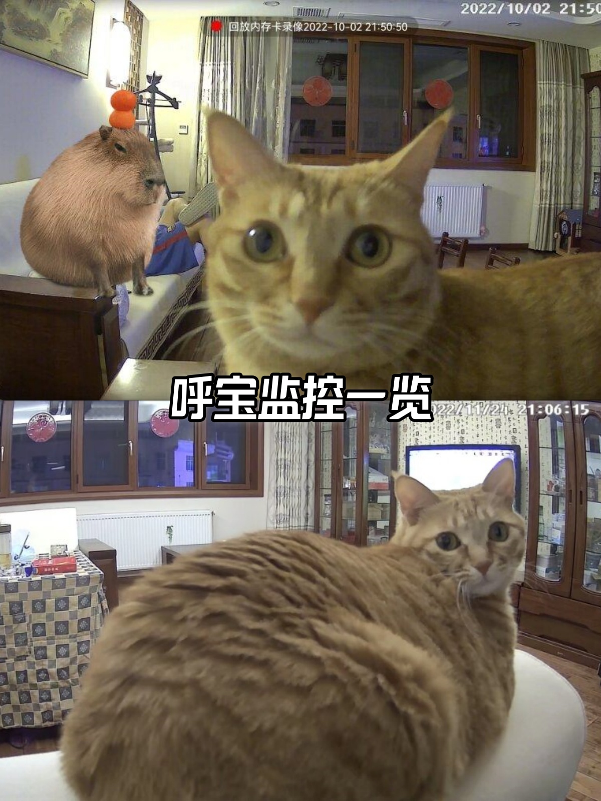 我乖和我扒拉东西有什么关系