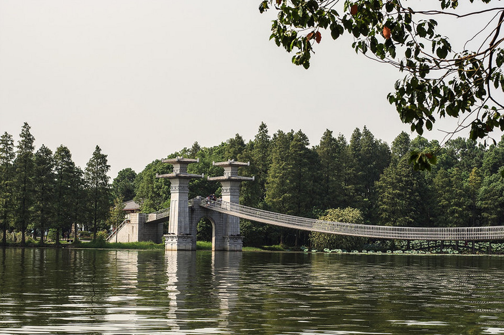 东湖风景图片大全图片