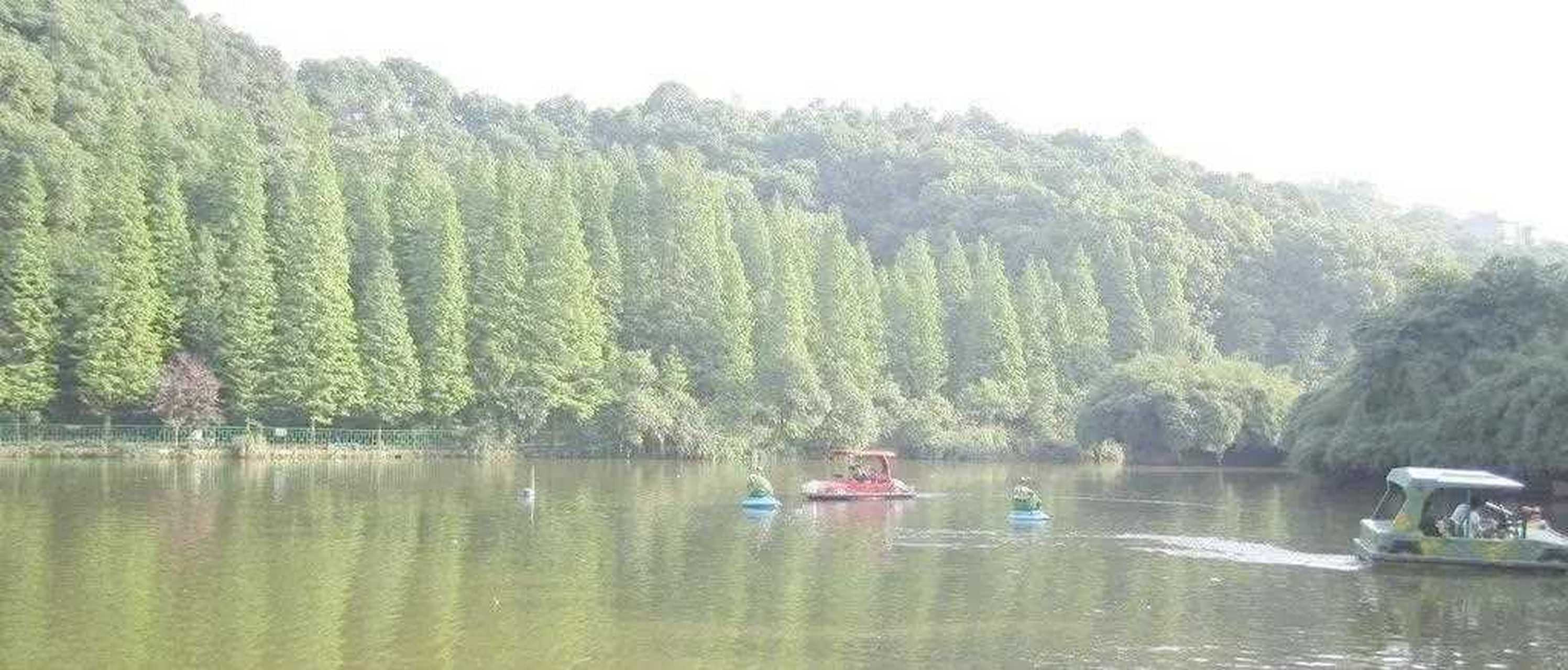 原创/江阳沽酒客[肥皂] 江阳古城新[吐] 少鹤山下青 泛舟烟雨湖 风物