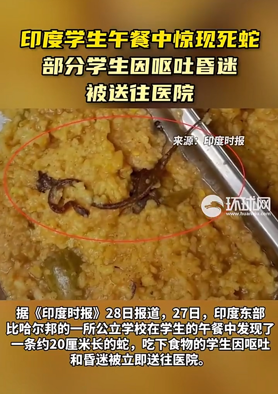 学生午餐中发现了一条约20厘米长的死蛇,印度学生午餐中现死蛇  近日