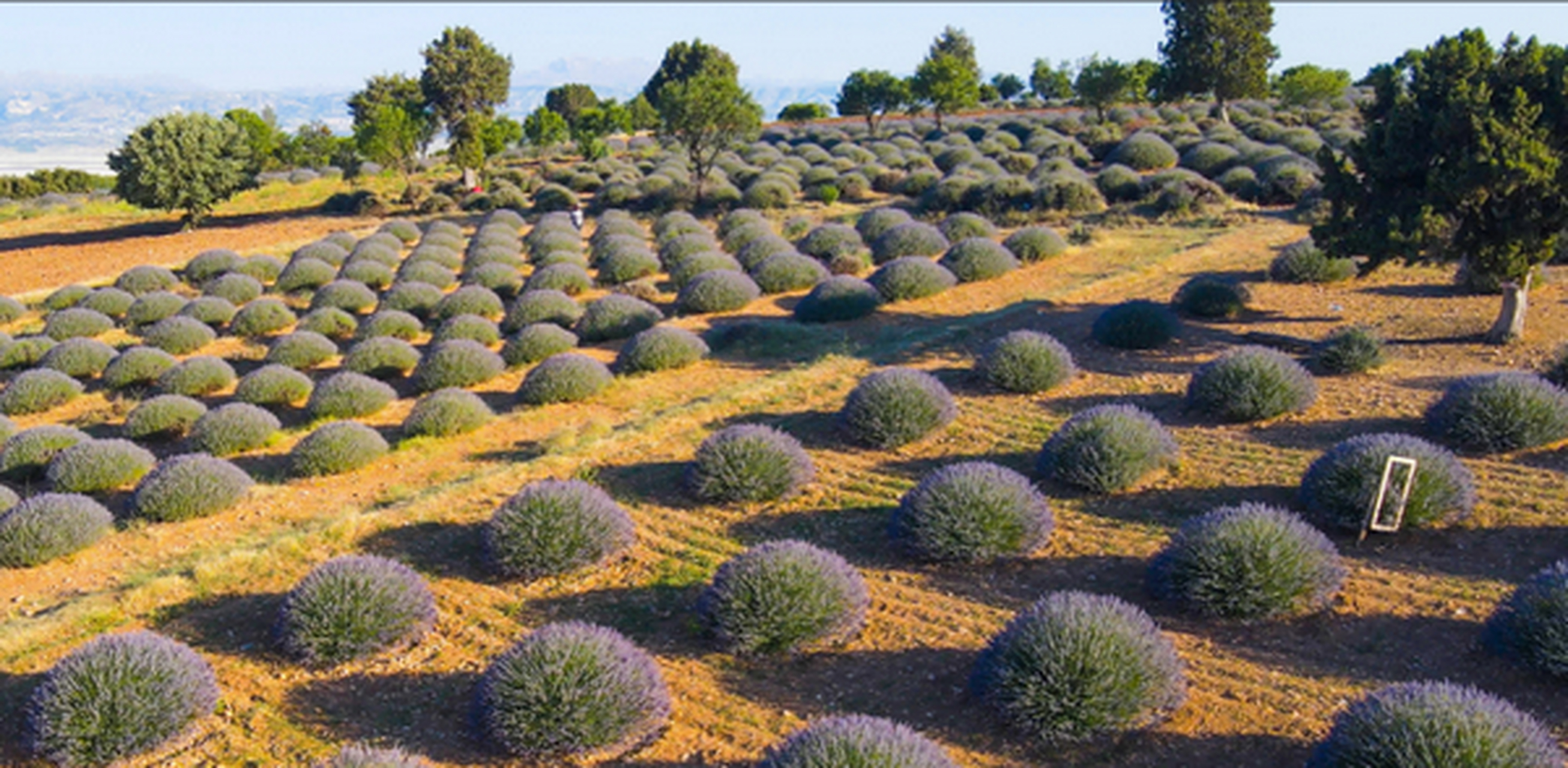 湖区位于土耳其的地中海盆地,以其令人印象深刻的景观,丰富的含氧自然