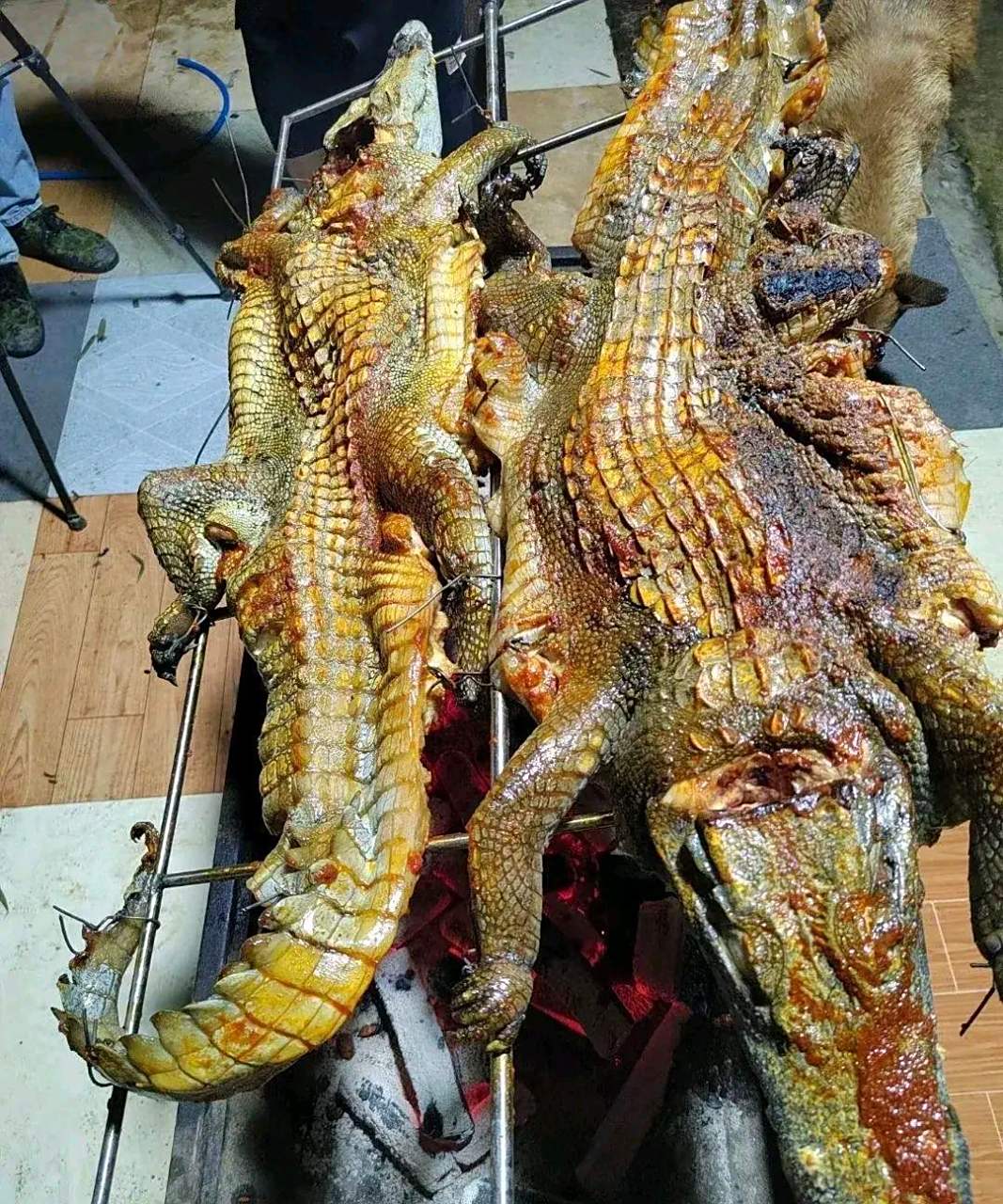 网友:烤只鳄鱼吃,就是比较贵