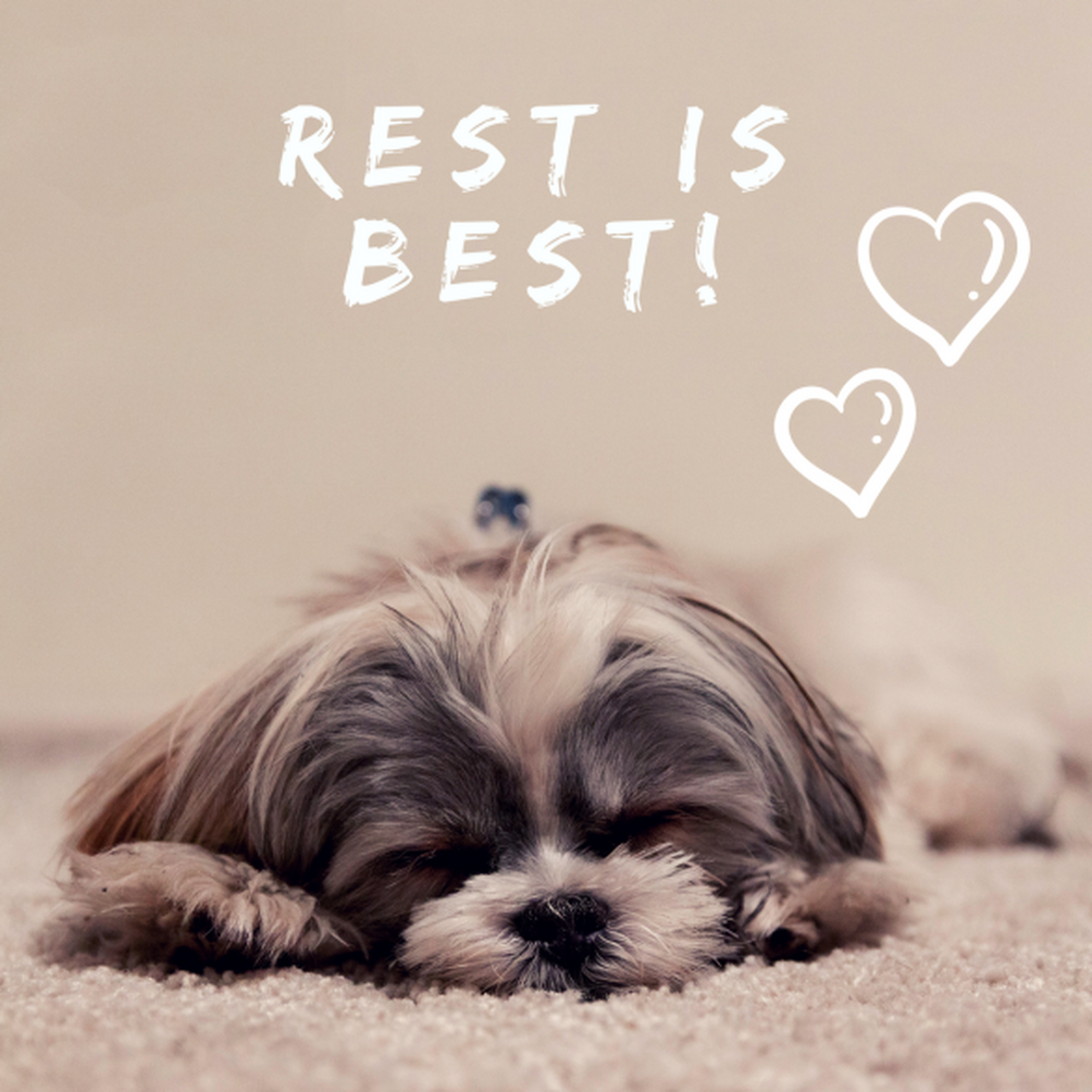 说到休息一下大家的第一反应是不是have a rest?