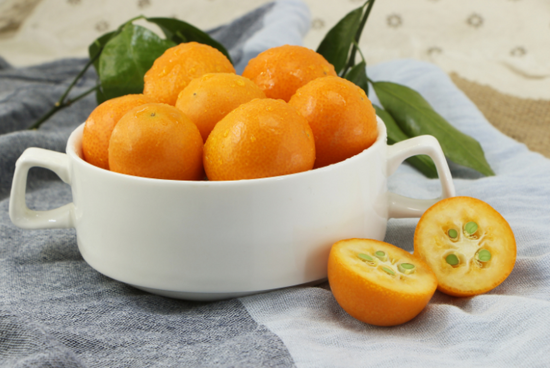 这里说的金桔是橘子家族中十分重要的成员,别看个头不大,但是金桔的