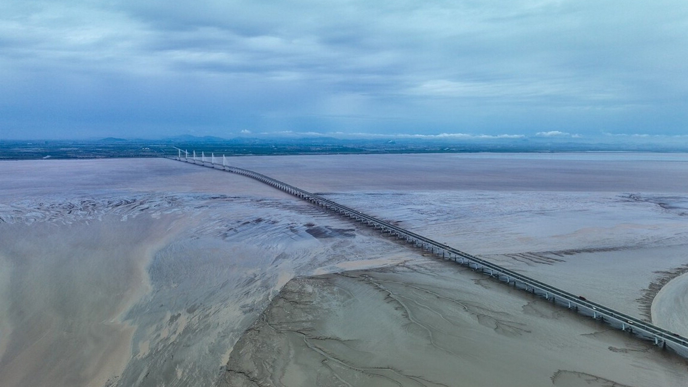 浙江临海市钱塘江入海口,退潮之后出现奇妙的"大地之树"自然景观.
