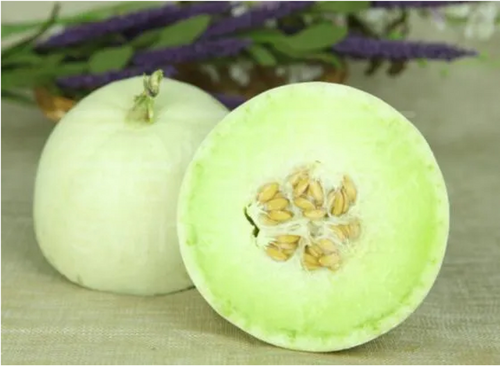 第二年美国副总统华莱士访华来看望老同学张心一时,他拍着胸脯说:没