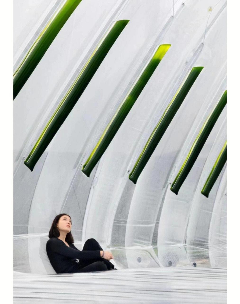 [照相机] 装置艺术|"空气泡泡" "空气泡泡"(airbubble)鼓励游客(尤其