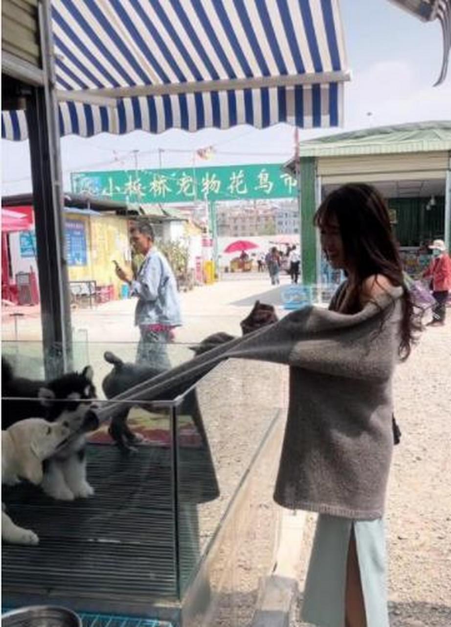 狗娘养的,放开那个女孩,让我来!