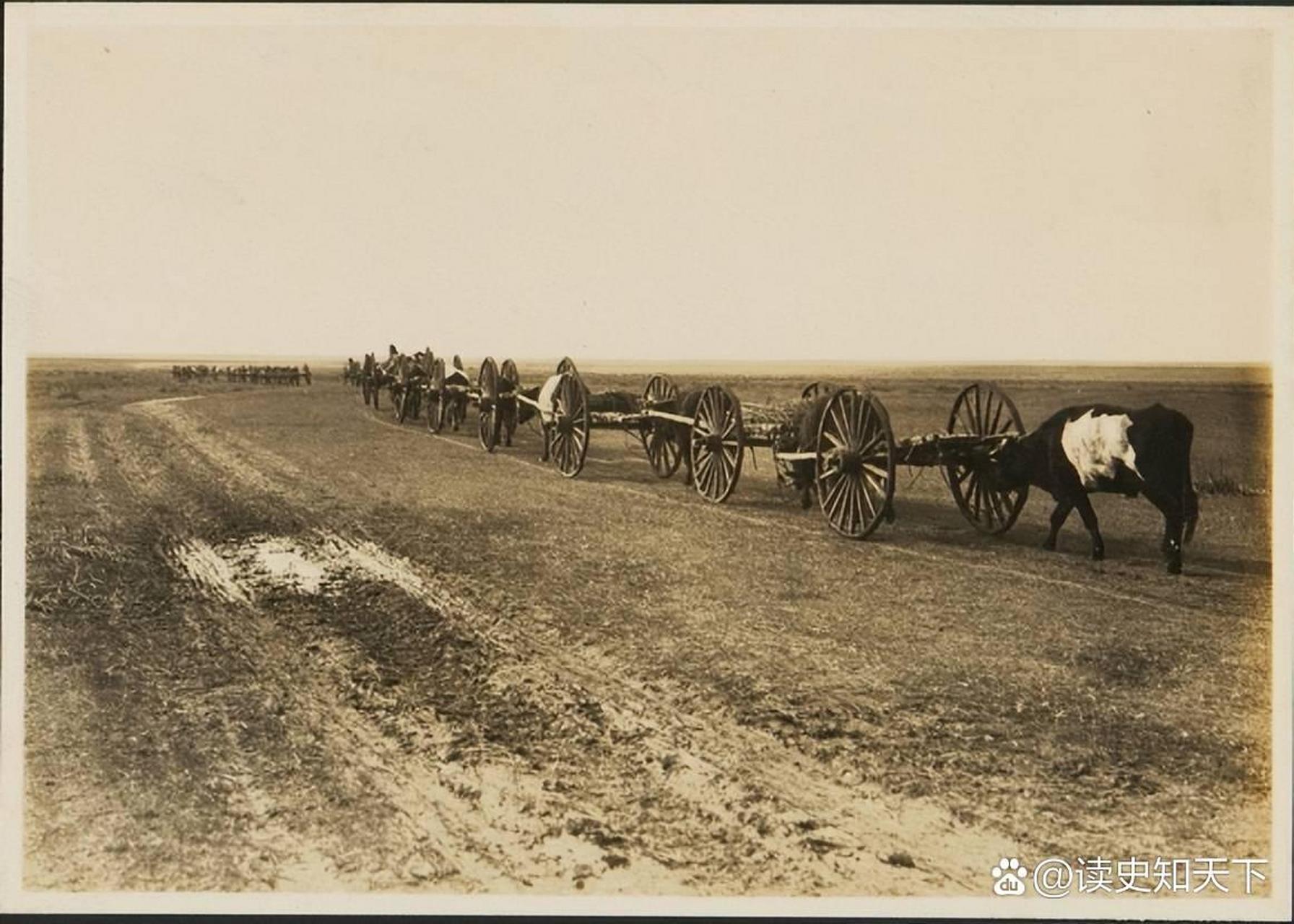 1924年蒙古大草原上的牛车.这样的牛车,真的是太简单了.