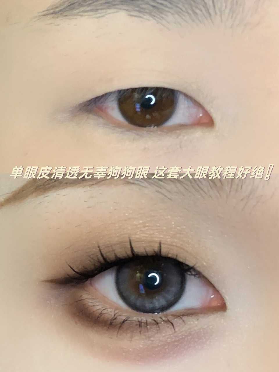 无辜狗狗眼 这套大眼教程好绝❗️