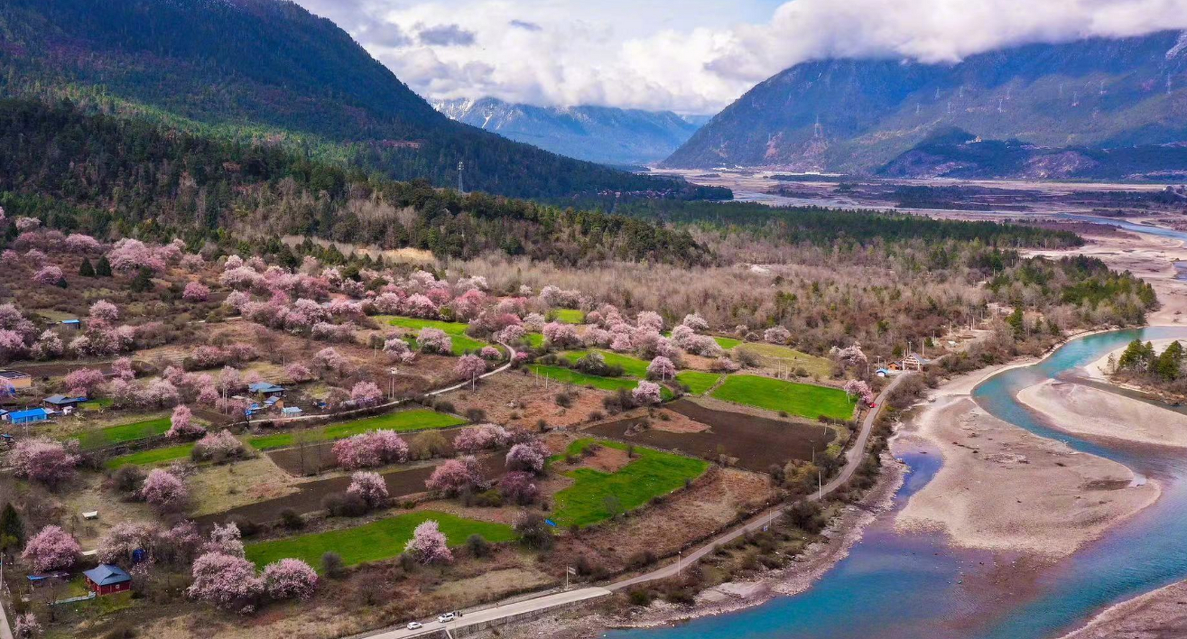 据人民网发布  西藏林芝市波密县桃花沟吸引了来自各地游客观光游览