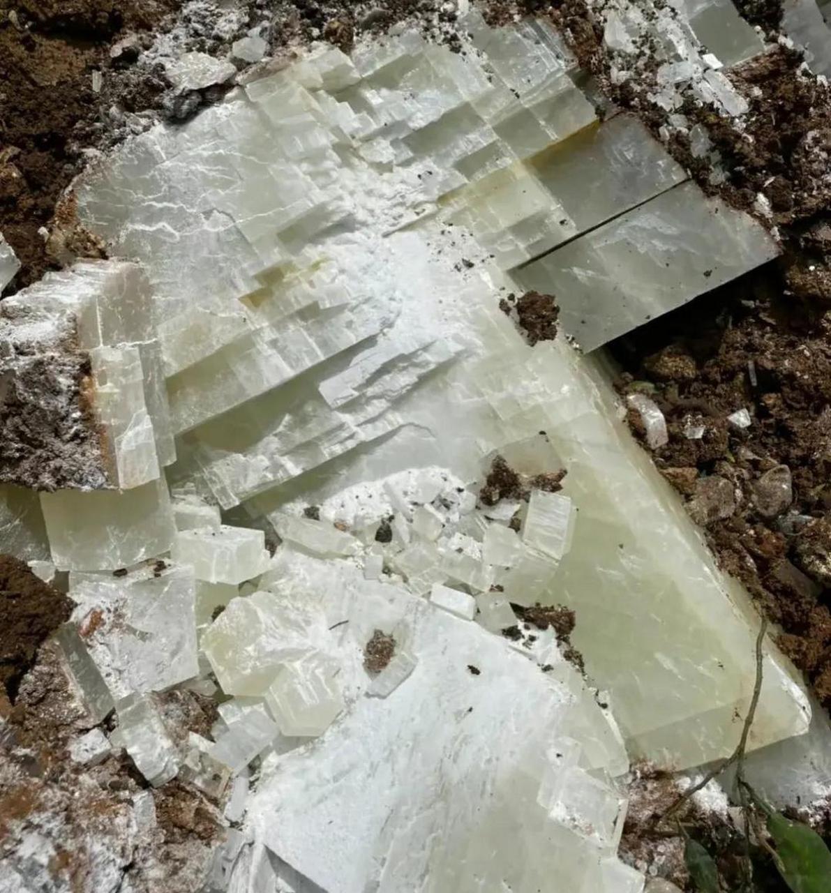 网友:爬山时看到的,这是发现了玉石矿脉了吧?