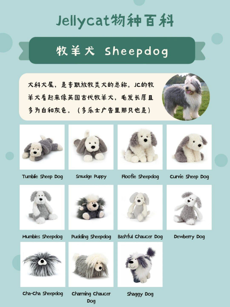 jellycat的小狗品种丰富多样,其中以牧羊犬,贵宾犬和腊肠犬为主力,而