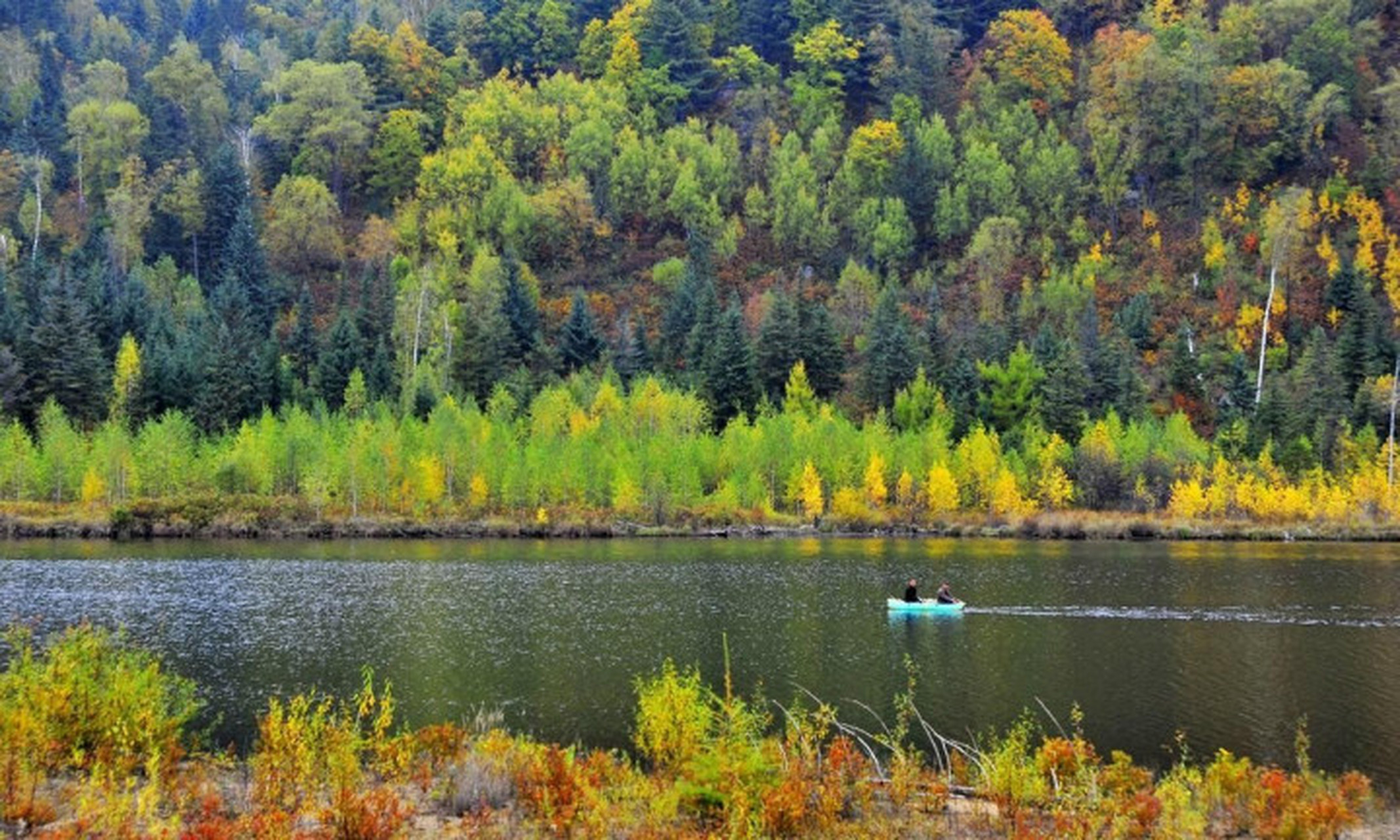伊春是名副其实的"林都",到处是茂密的森林,苍翠的植被,尤其是夏季,目