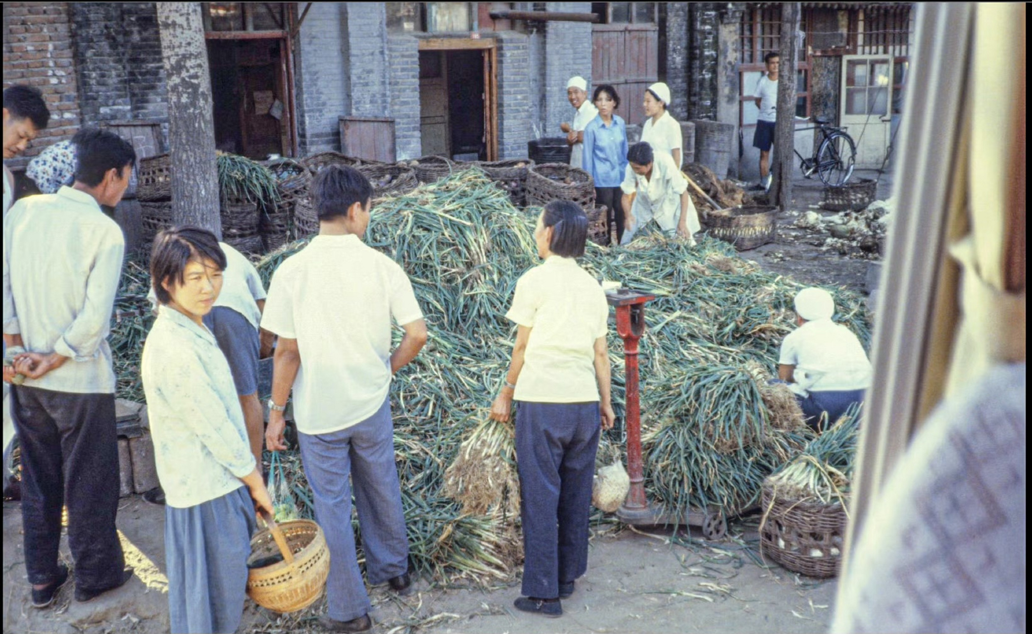 一组1981年的北京老照片. 676767