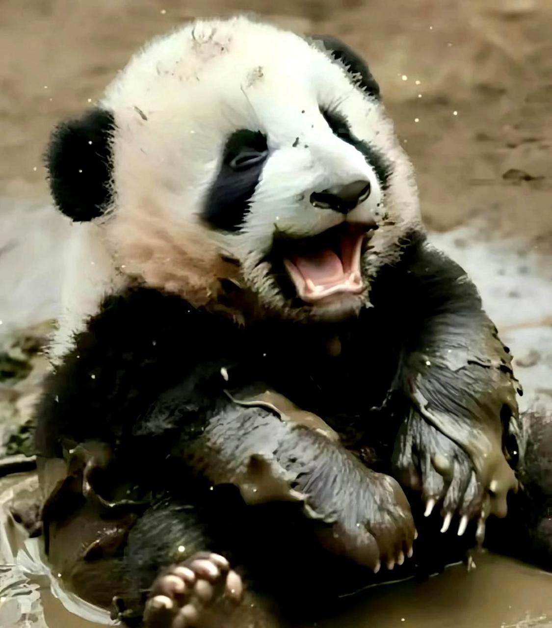 缘小脱裤子与我乐水无关.