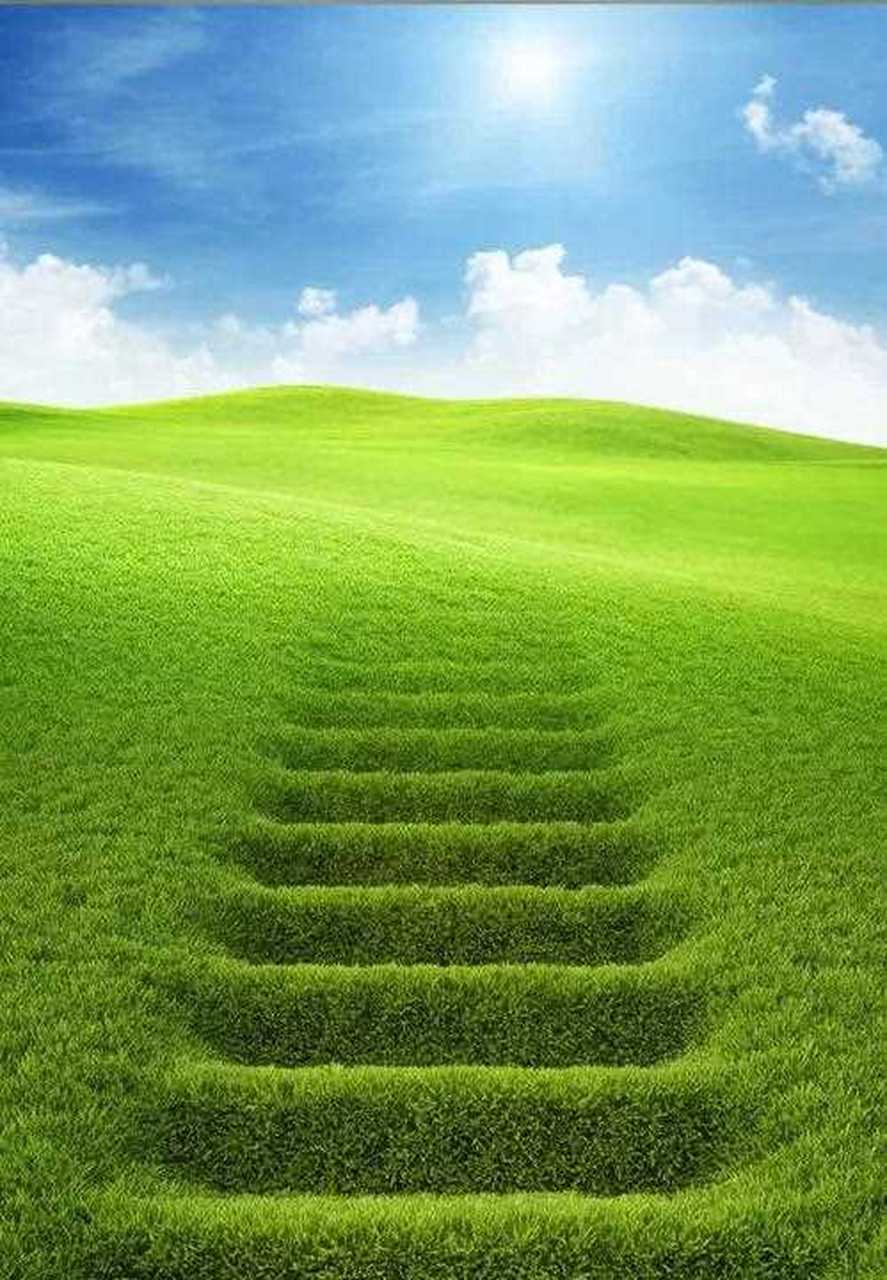 快下班了,给眼睛放松放松吧一组绿色美图送给您