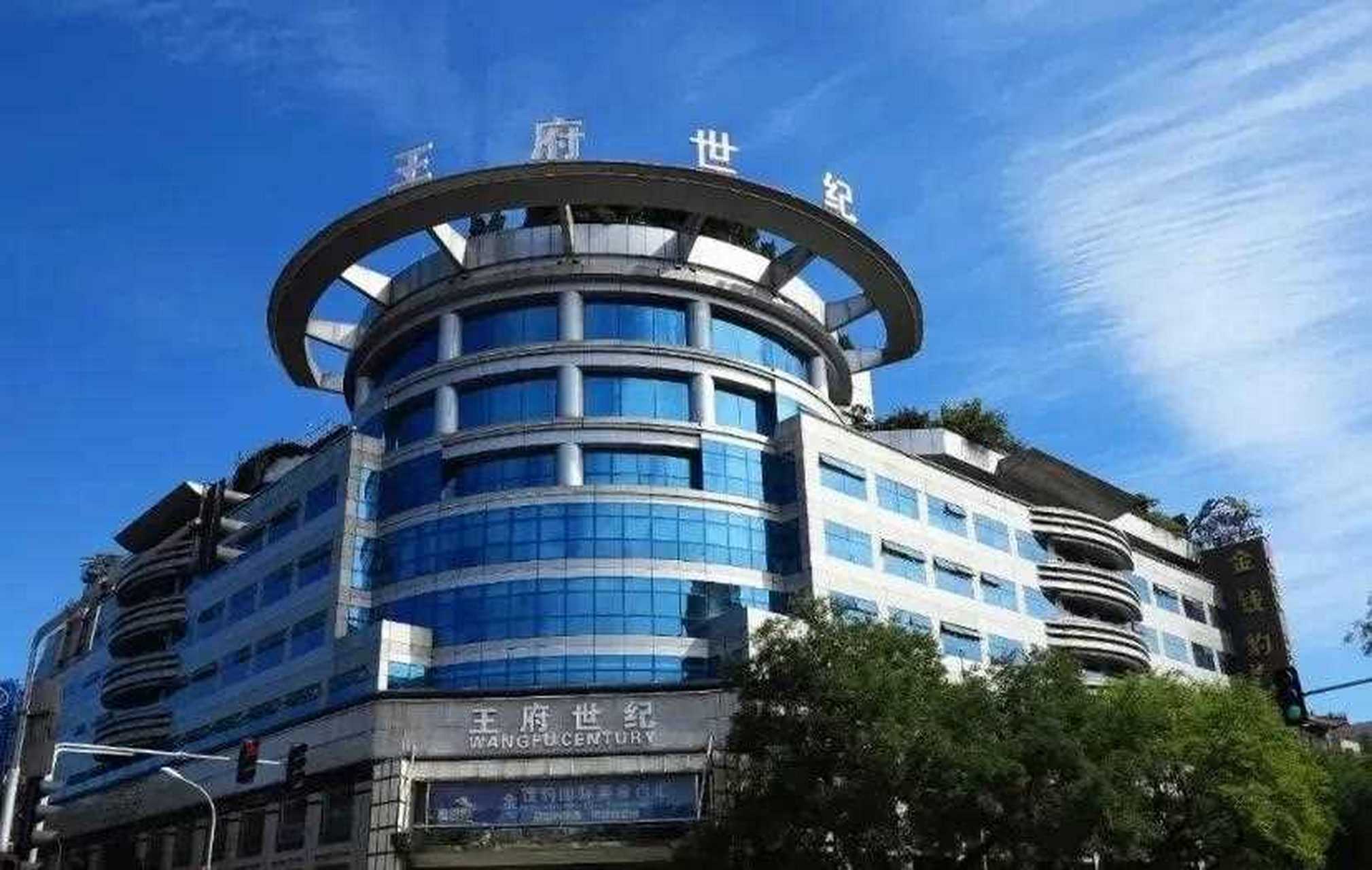 王艳家豪宅流拍.