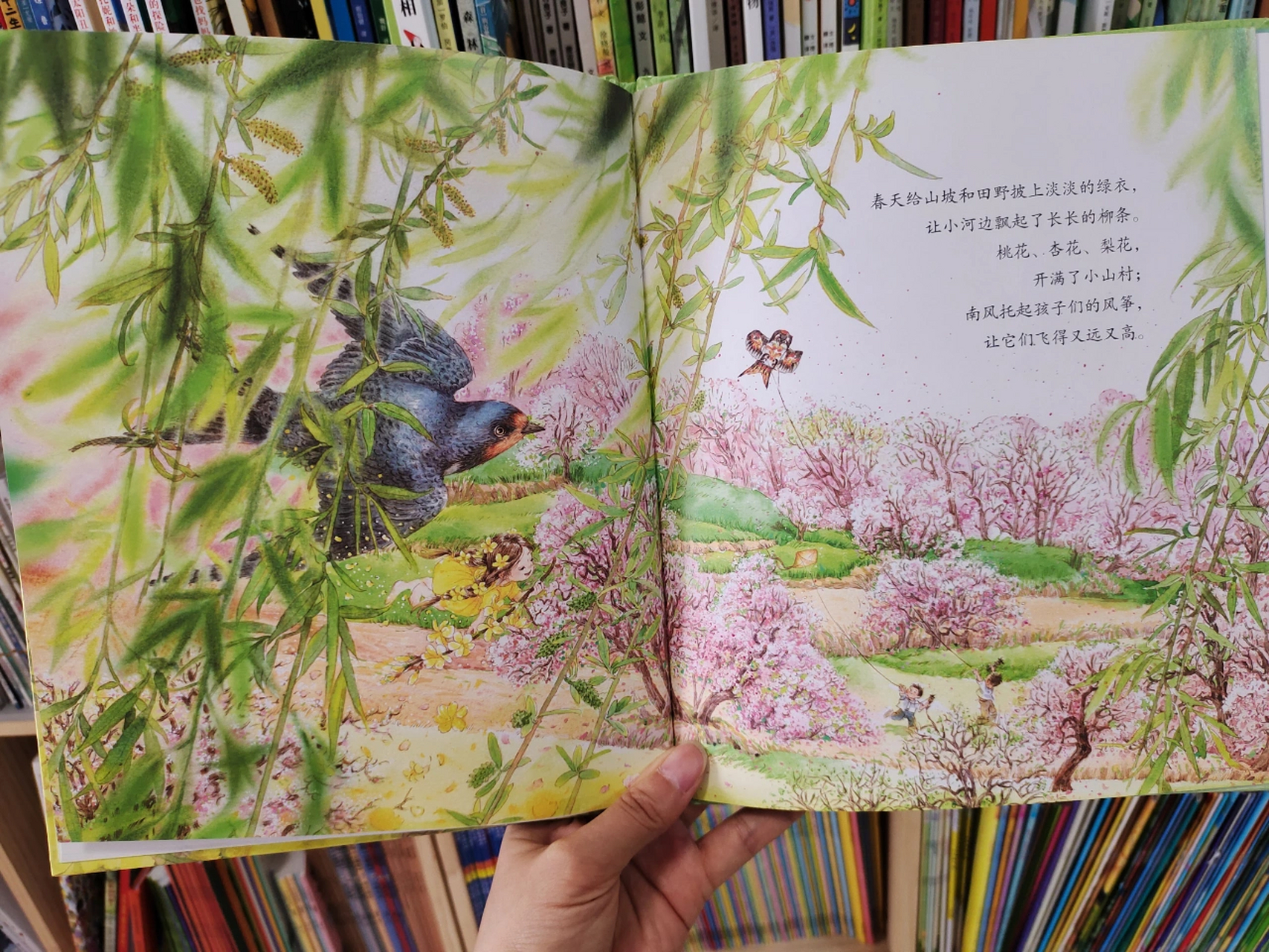 绘本推荐《迎春花开了》 很久很久以前,花神召集所有的花草,商量花在