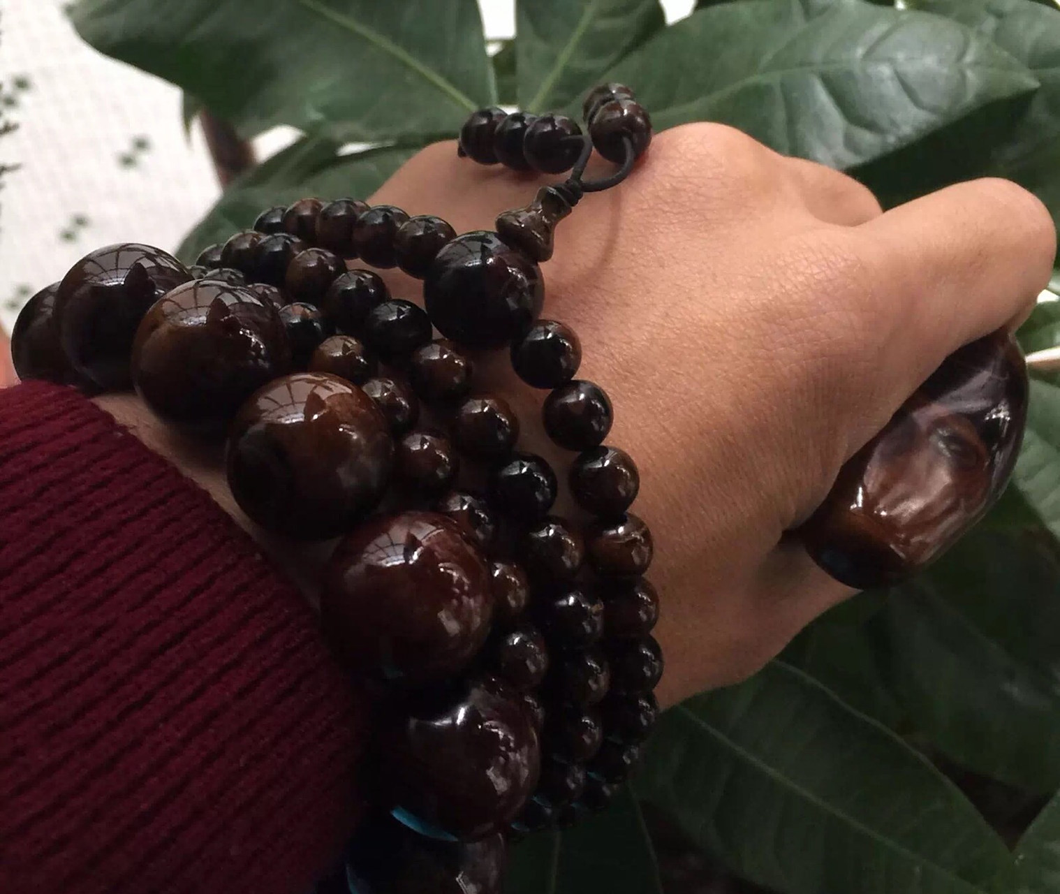 海柳,学名为黑角珊瑚又叫:黑珊瑚,俗称海柳 海柳又因生长海域深度划分