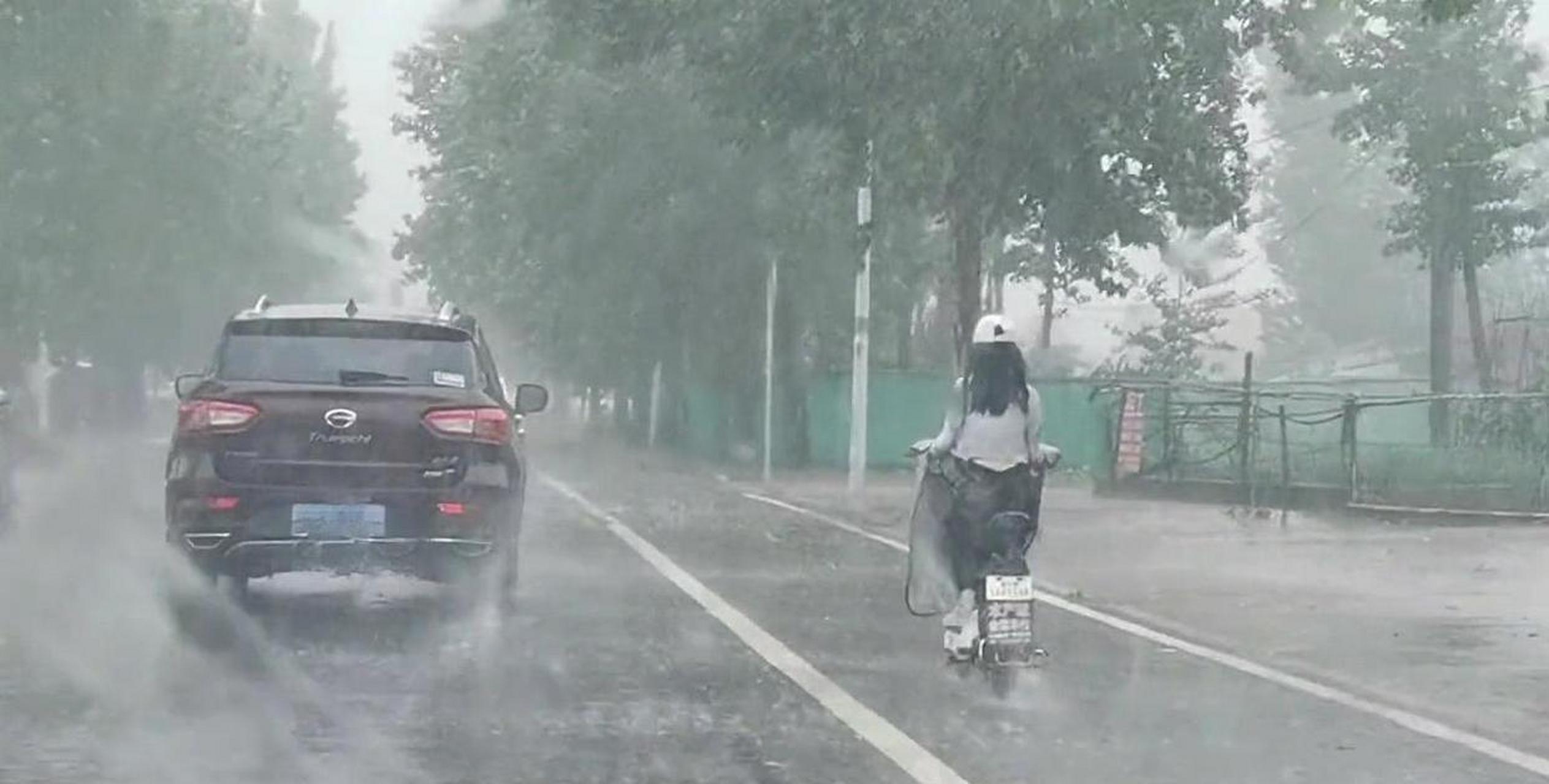 网友:看着被大雨淋湿的倩影,心里只有无尽的怜惜