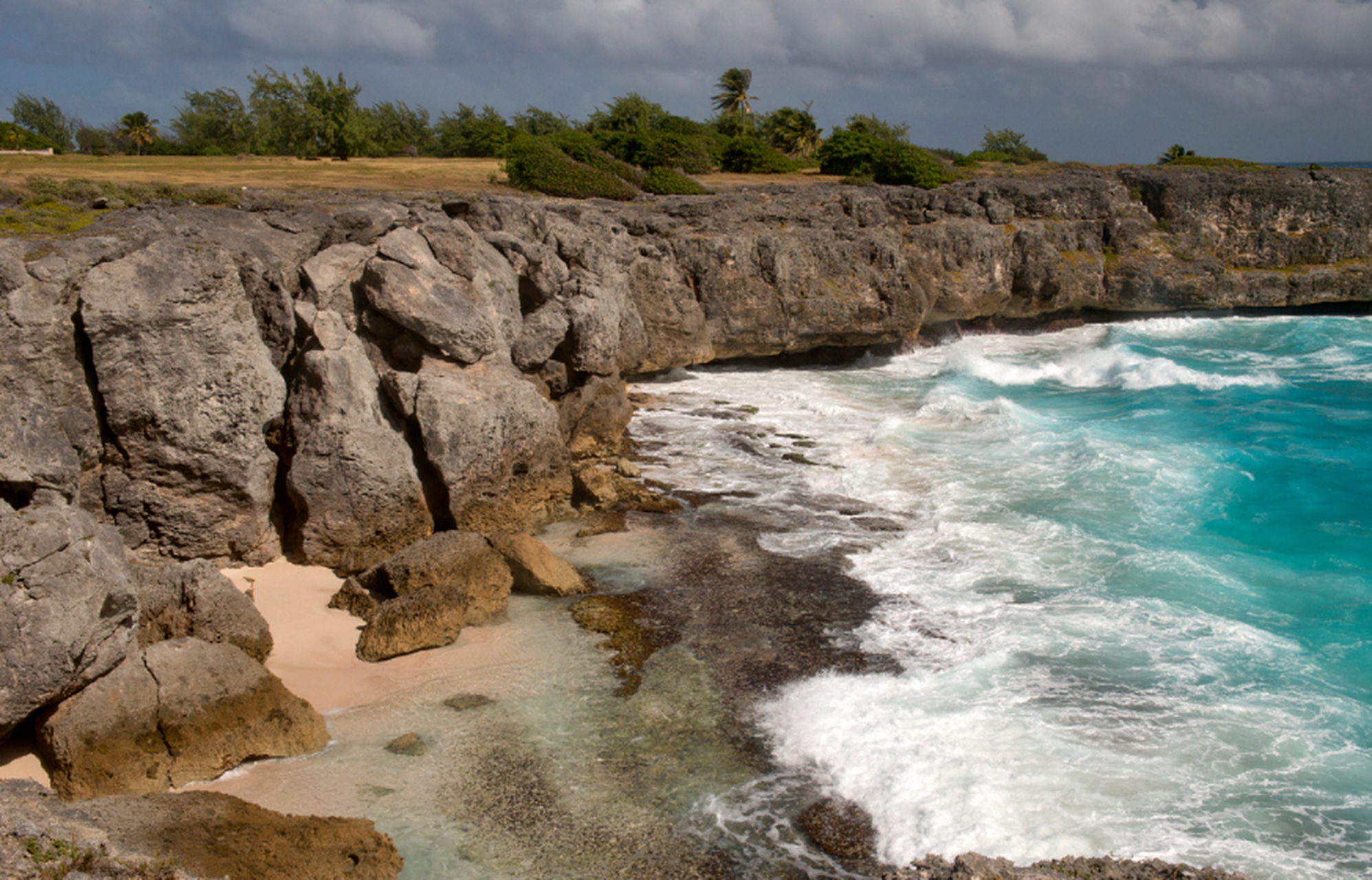 巴巴多斯岛 barbados 在西印度洋群岛的最东端,有一个风景秀丽的珊瑚