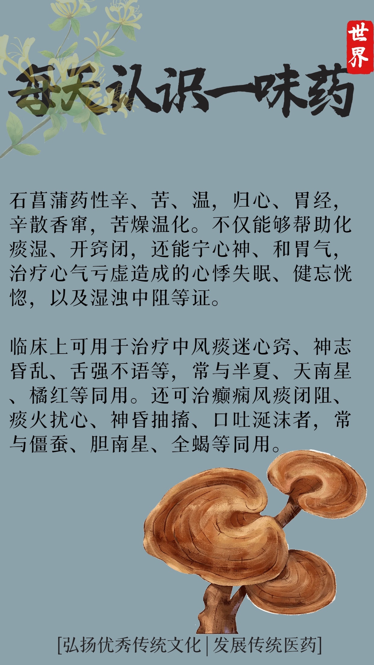 每天认识一味药-石菖蒲的功效与作用.@迟慧彦的动态