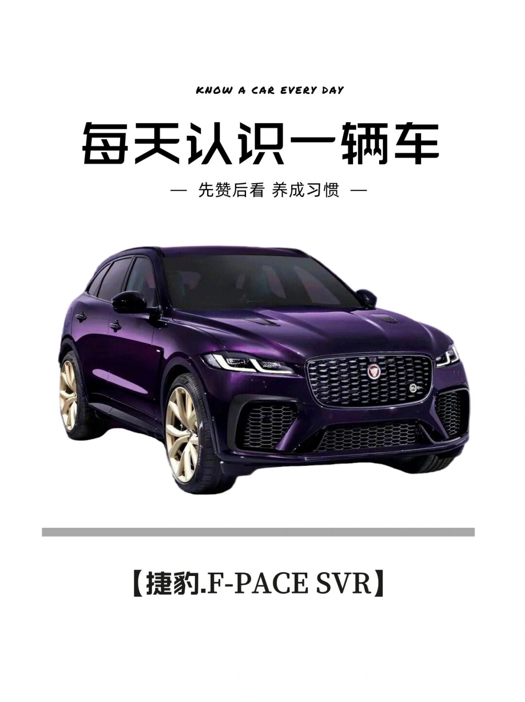 pace svr的极致性能与奢华内饰
