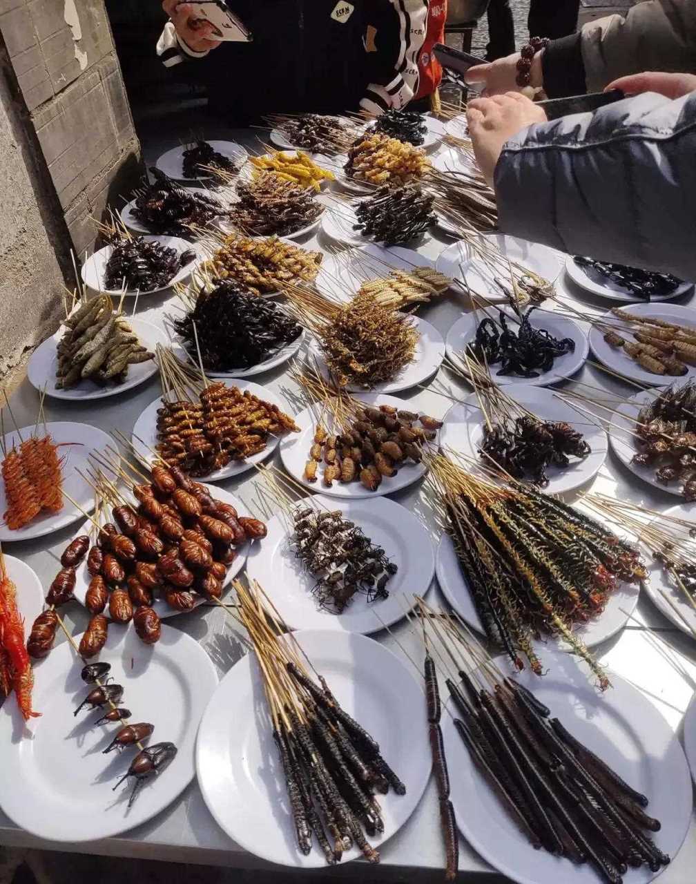 云南傣族的昆虫宴,看这就后怕吃下去需要多大勇气啊![二哈]