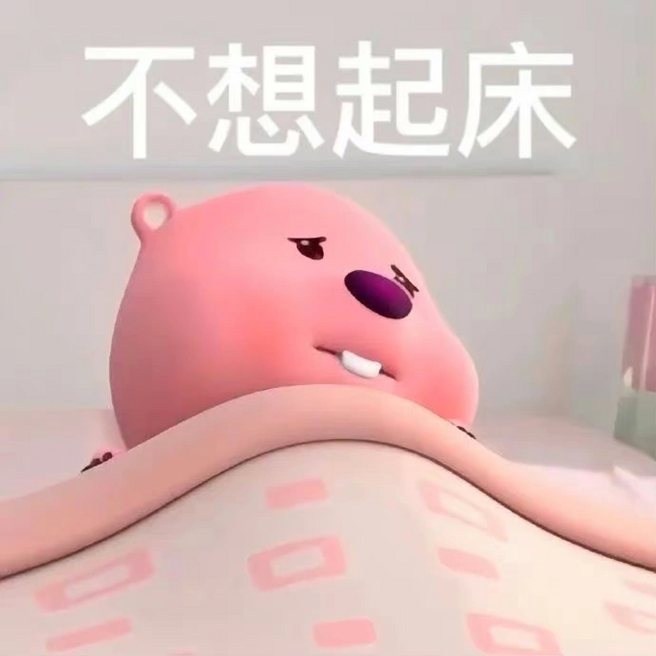 loopy 表情包更新啦    哩哩哩哩哩 #我要笑死了