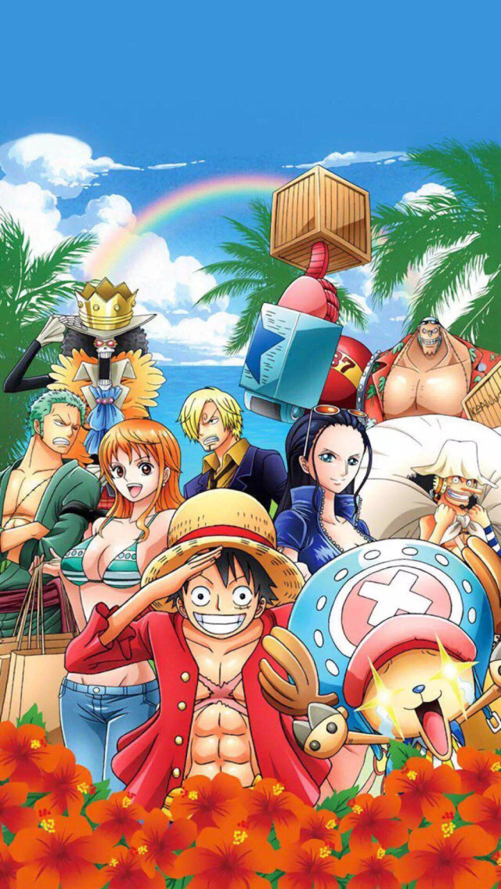 王# 路飞海贼团中,全部队员各自有自己的爱好强项,但是给人感觉团队