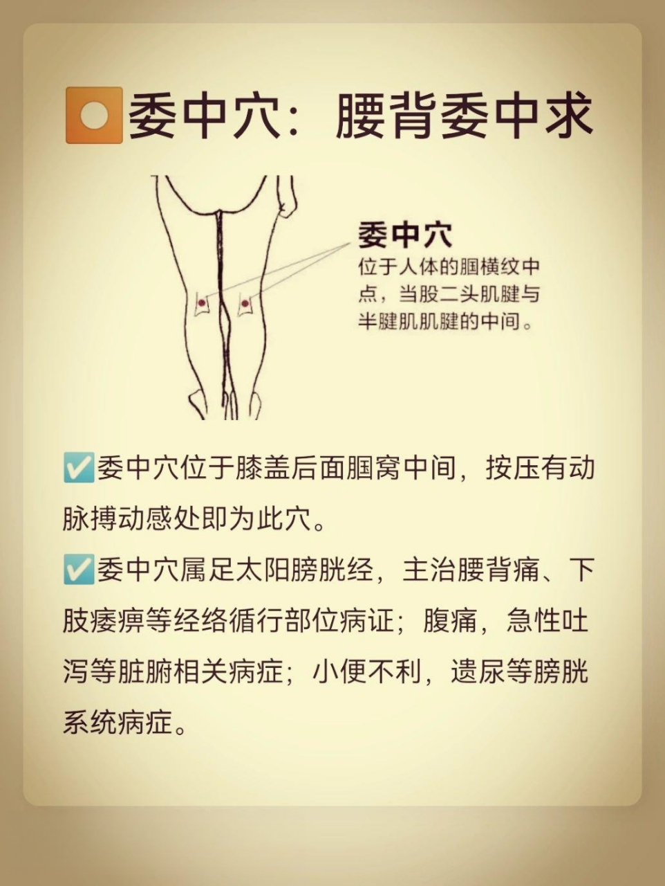 委中的位置图图片