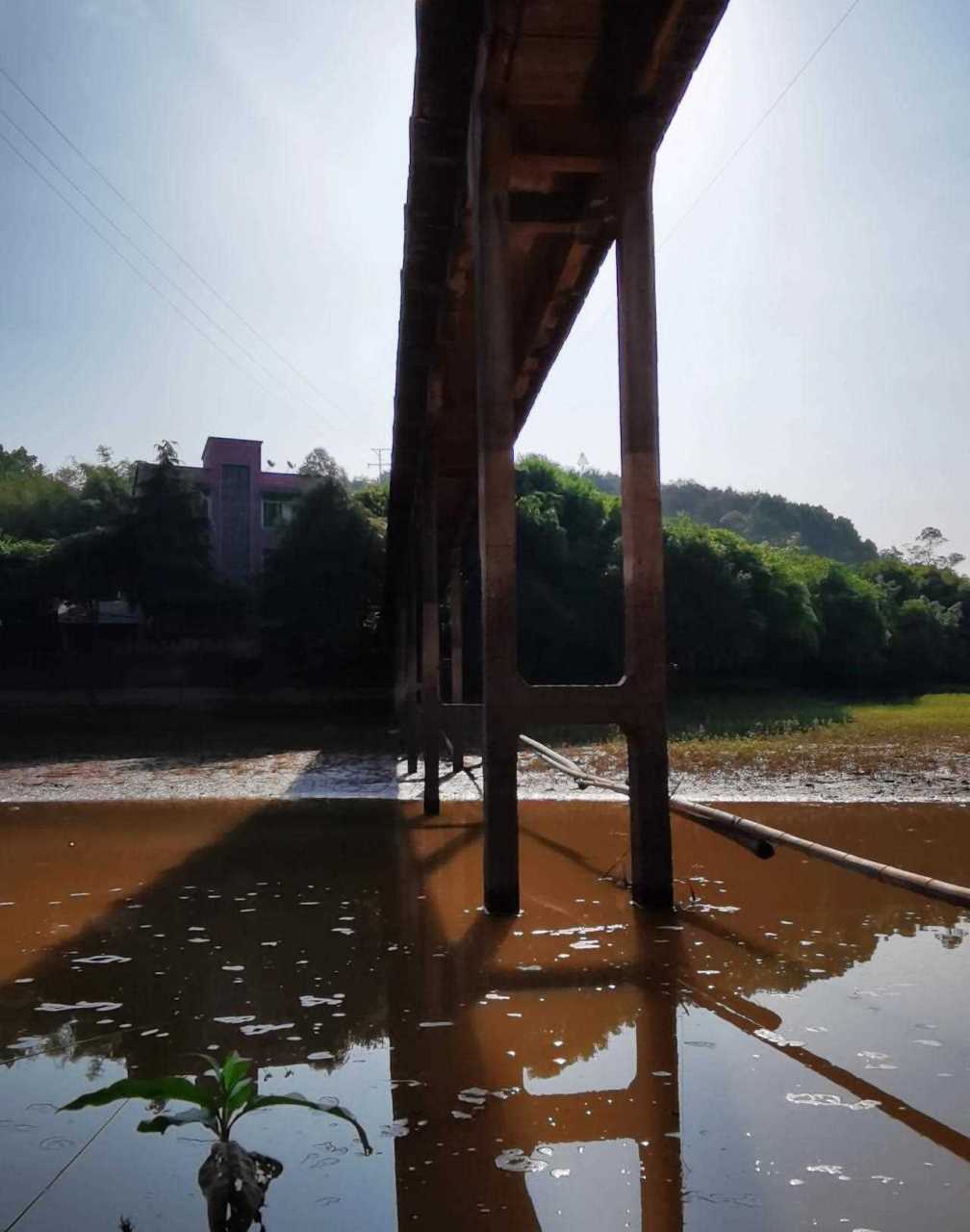 重庆巴南区,南彭水库,是一个钓鱼的好去处,离主城区开车大约30分钟