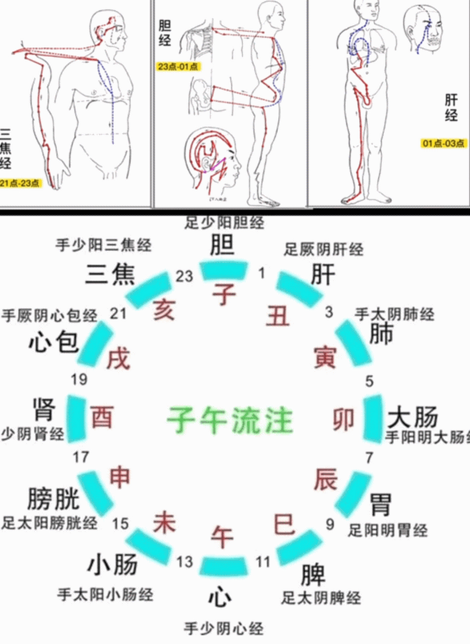 十二经络走向与子午流注
