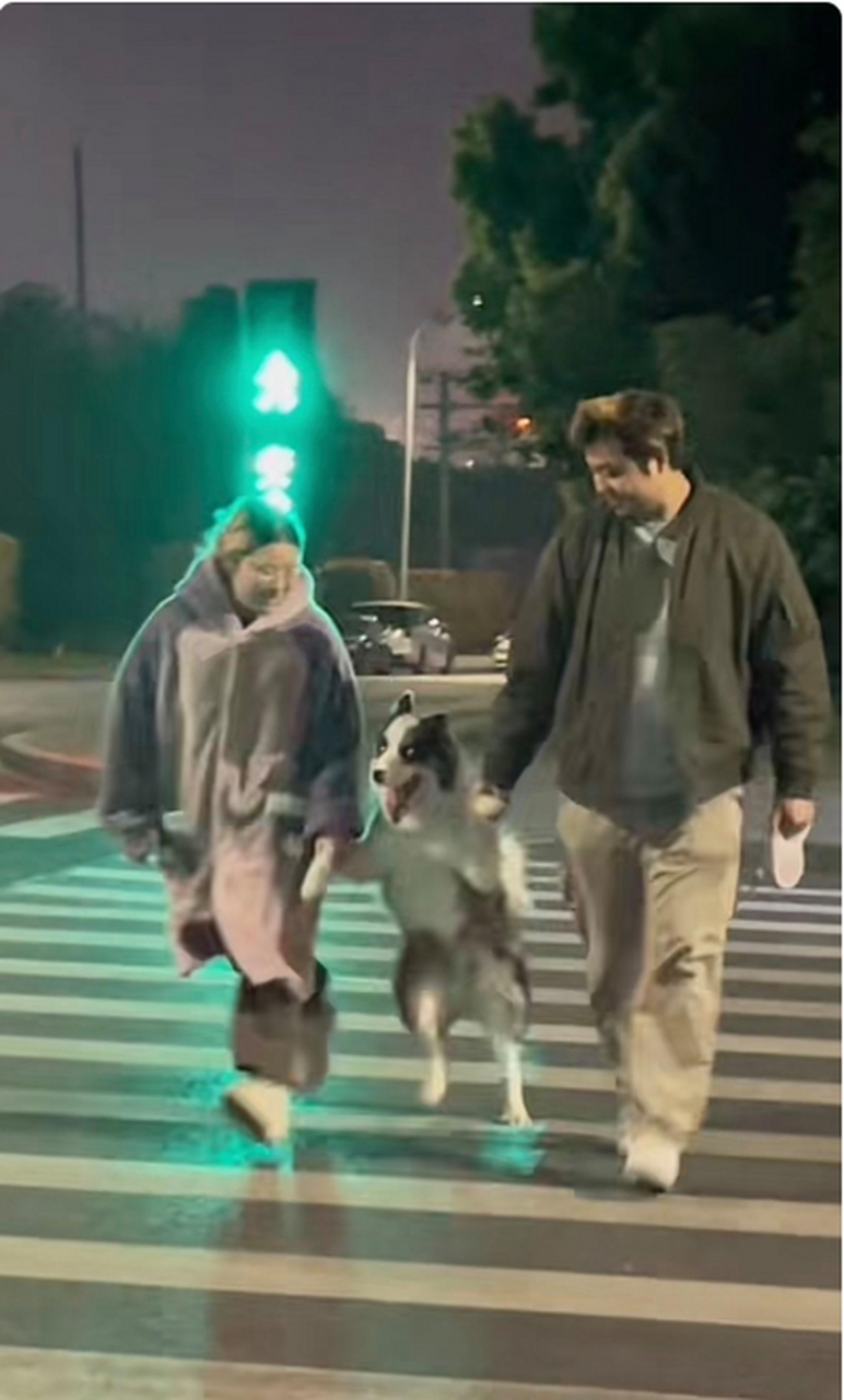 偶遇一对情侣带着狗狗过马路,一人牵一只爪子狗狗很开心的一蹦一跳.