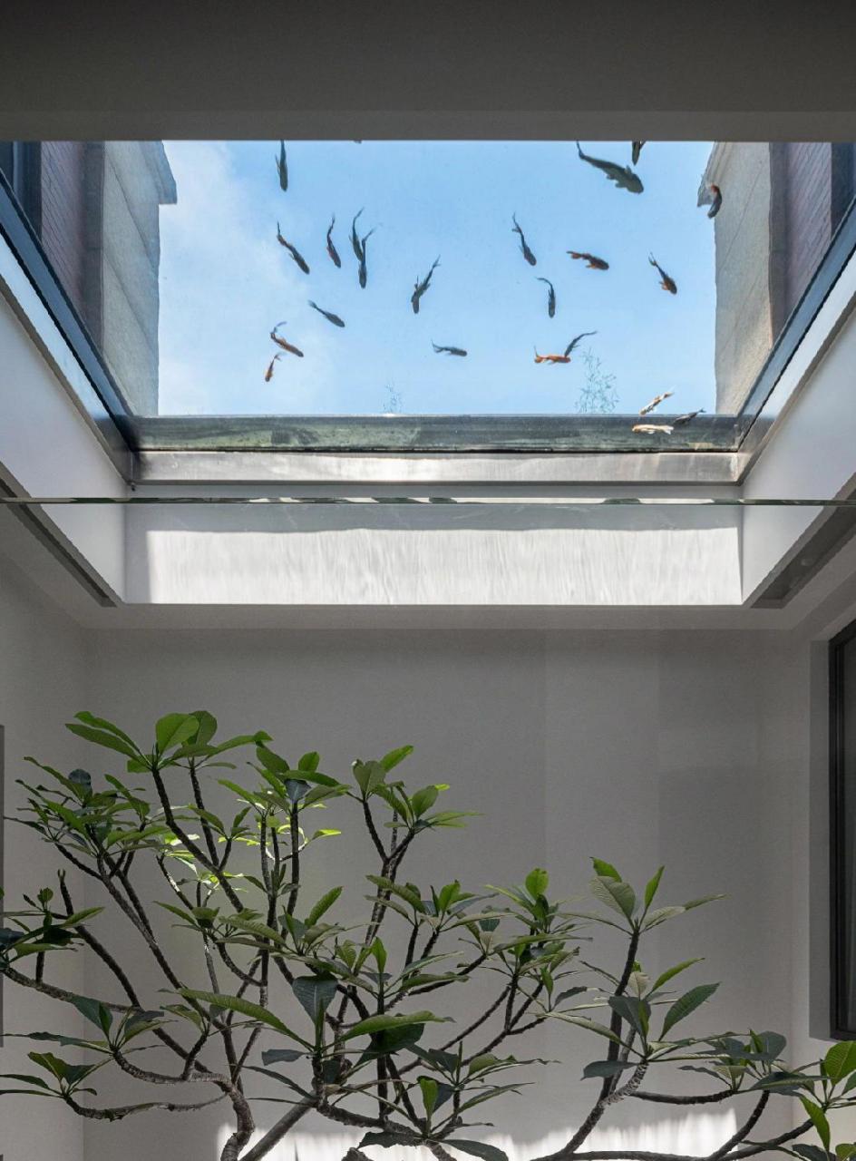 别墅地下室天井的巧妙设计 带大家感受一下鱼在天上游[飞机] 好有意境