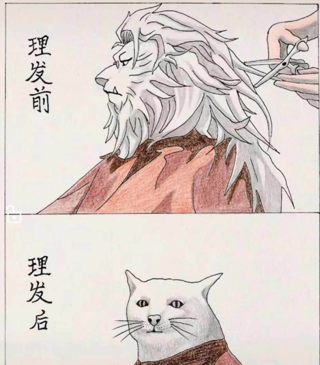 猫变狮子倒影图片图片