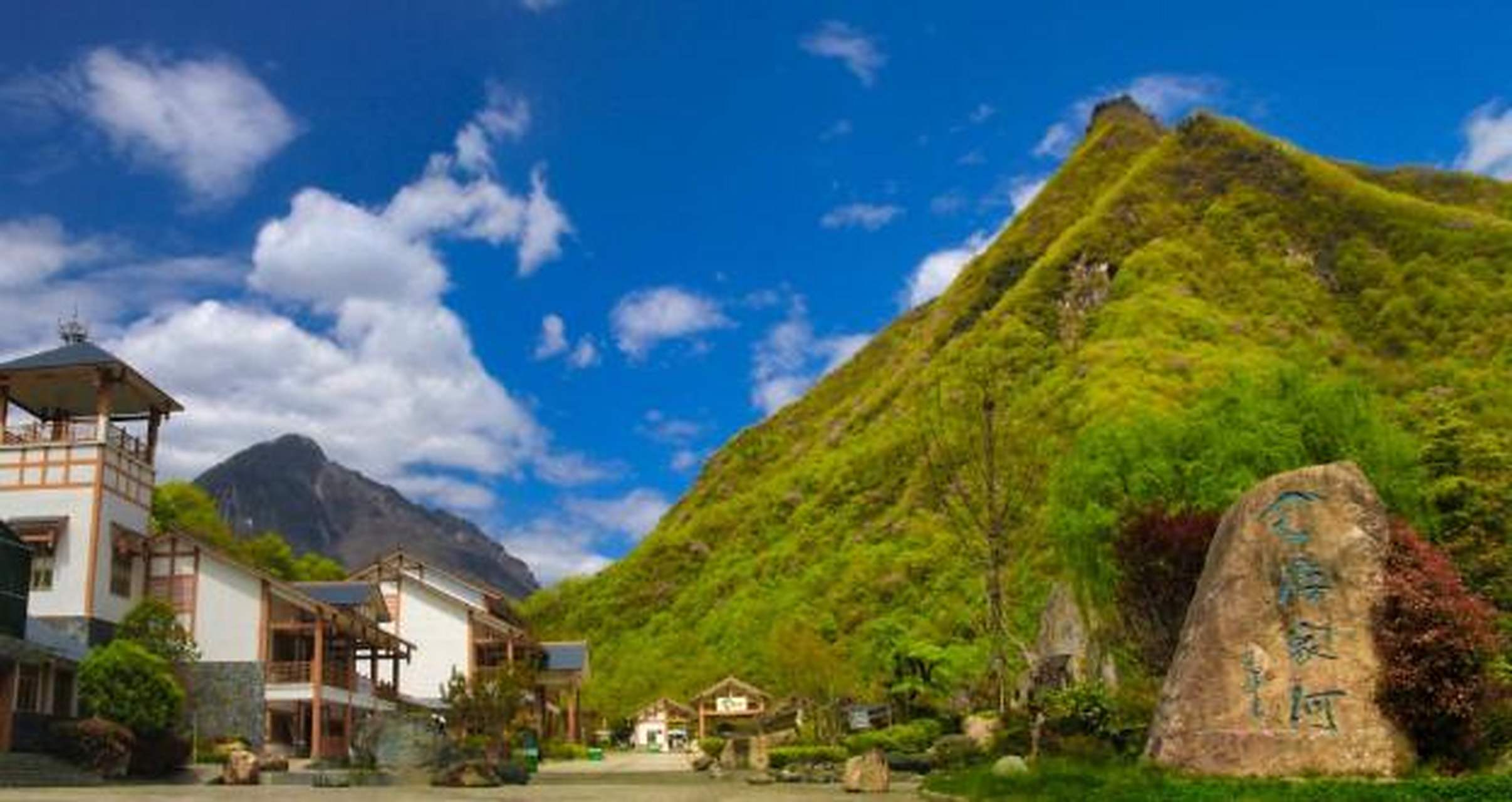 日前,青川唐家河国家级自然保护区内白果坪,凉水井,鸡公垭等地成片的