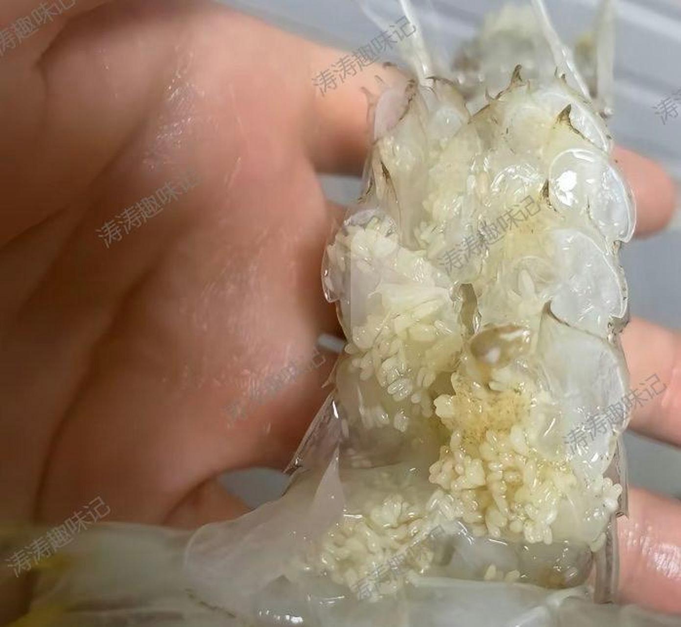 求助啊!这个是虾卵还是虫卵呀?